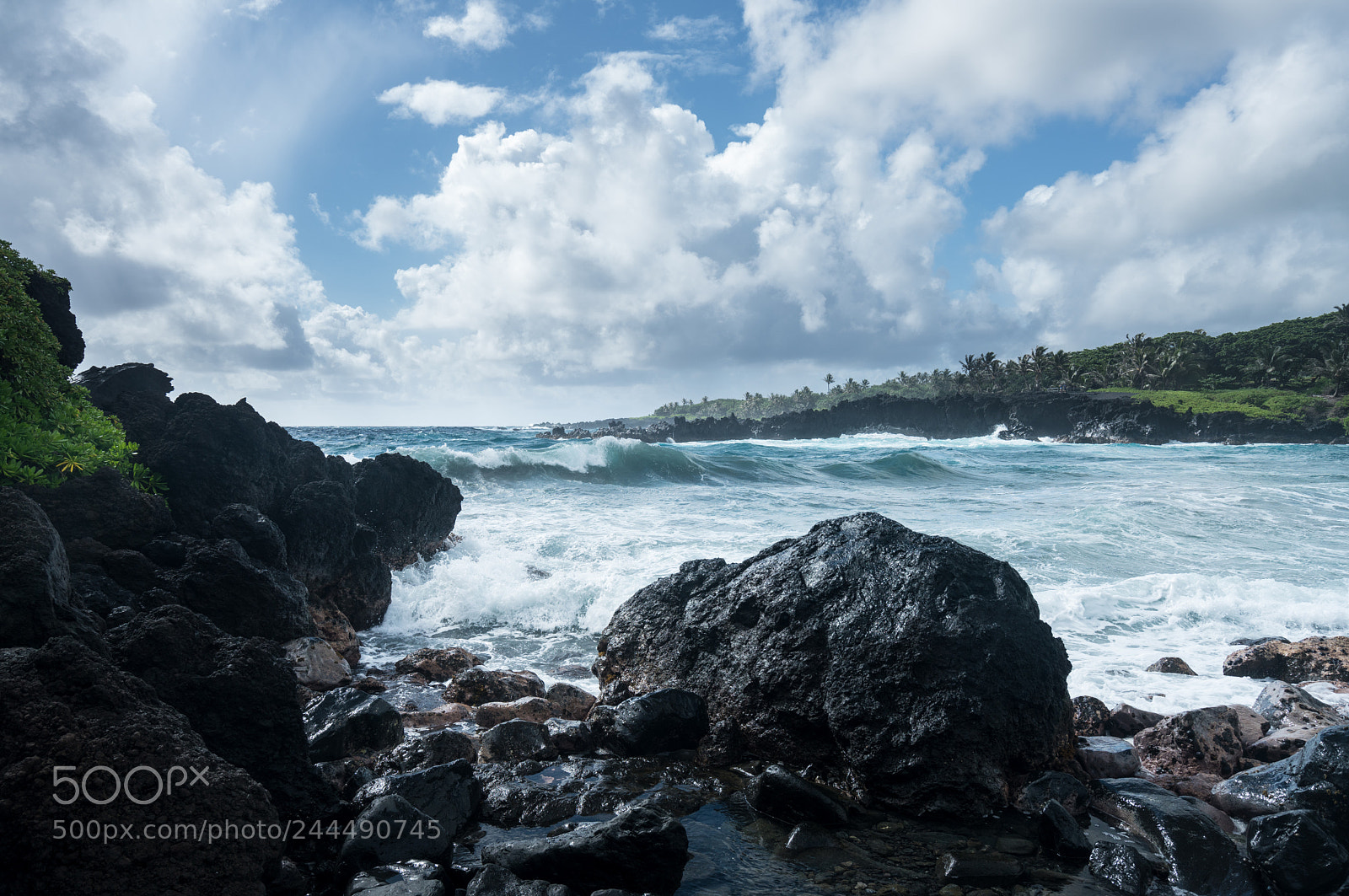 Sony a7R II sample photo. Black sand beach at photography