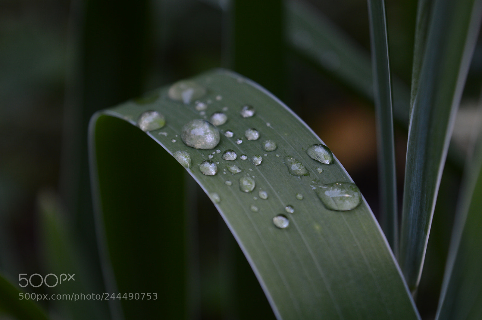 Nikon D3200 sample photo. Untitled photography