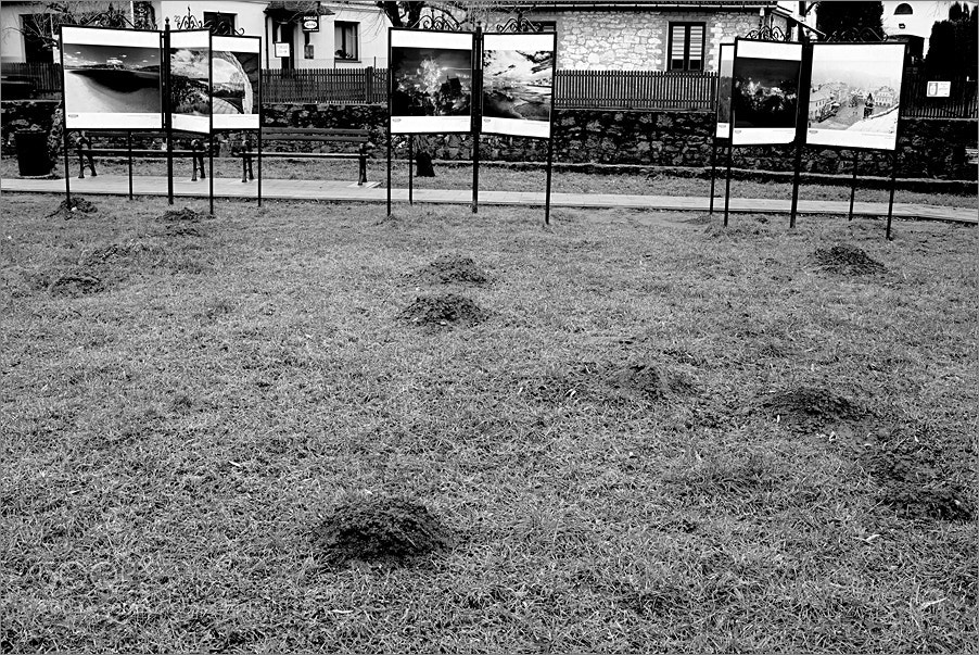 Nikon D610 sample photo. Moles in the gallery photography