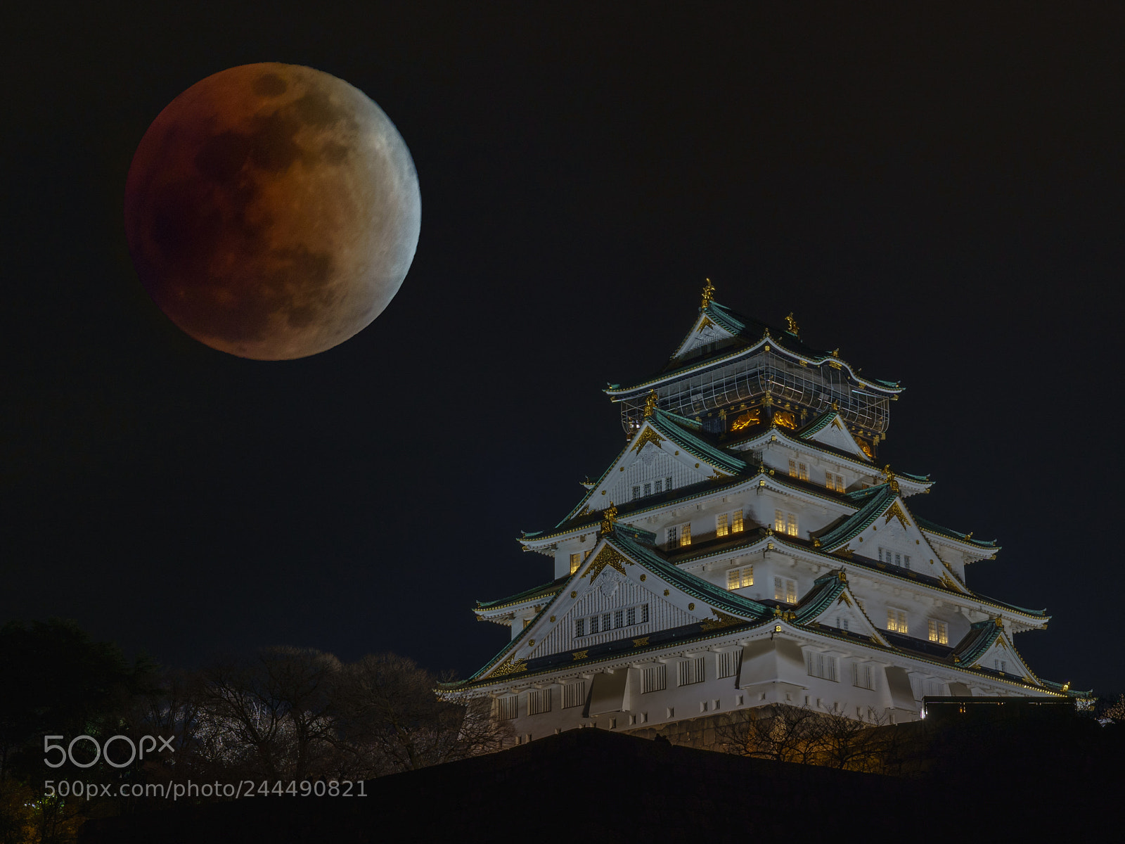 Sony a9 sample photo. Osaka castle in total photography
