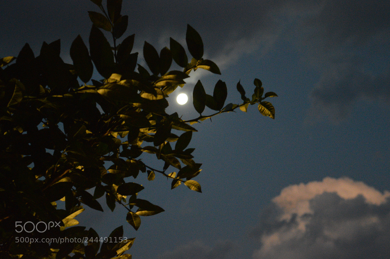 Nikon D3200 sample photo. Untitled photography