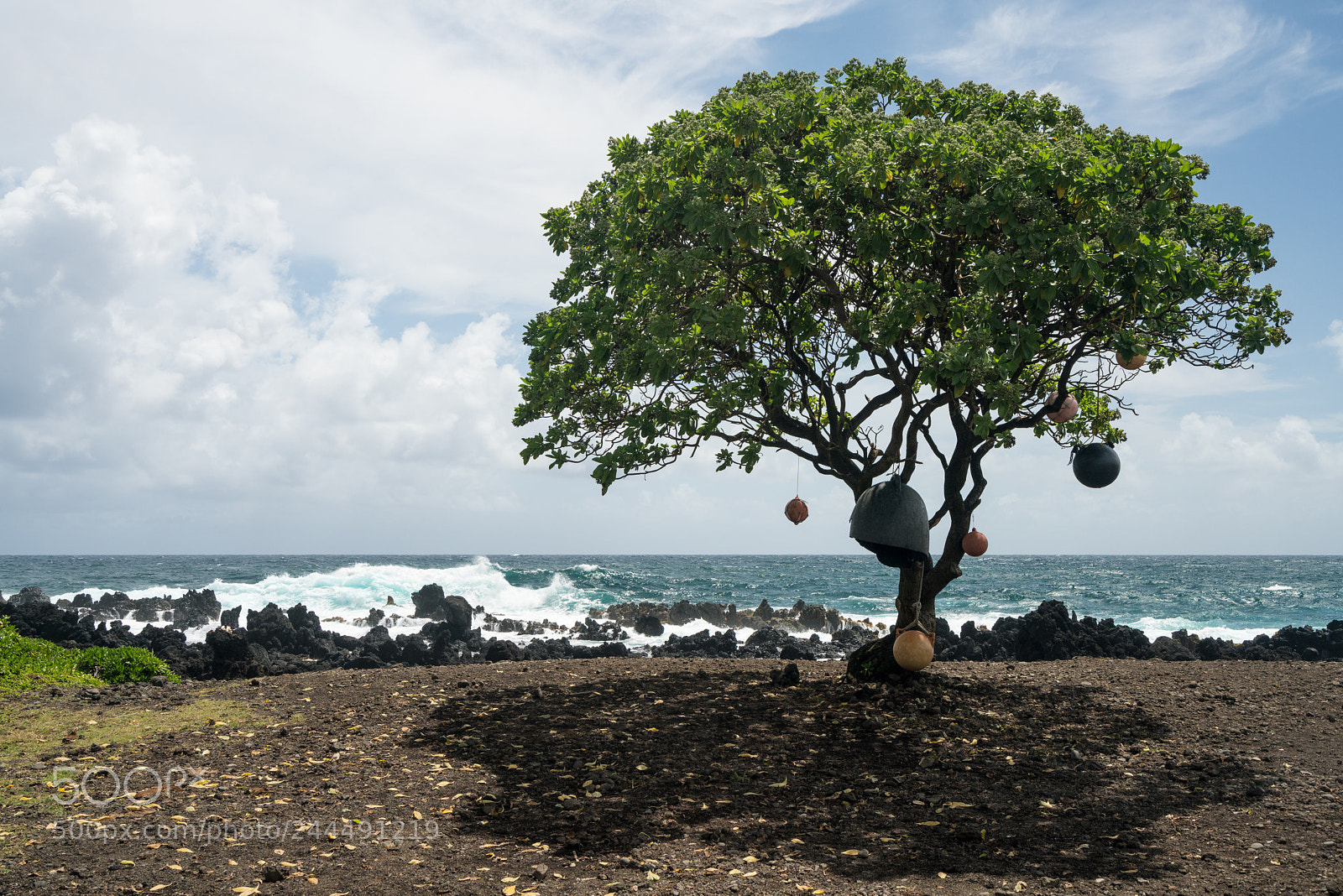 Sony a7R II sample photo. Pacific ocean breaks against photography