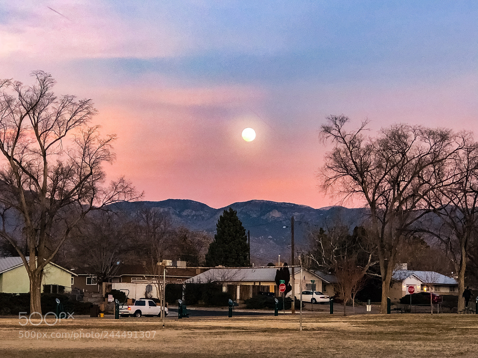 Apple iPhone 8 Plus sample photo. Moonrise photography
