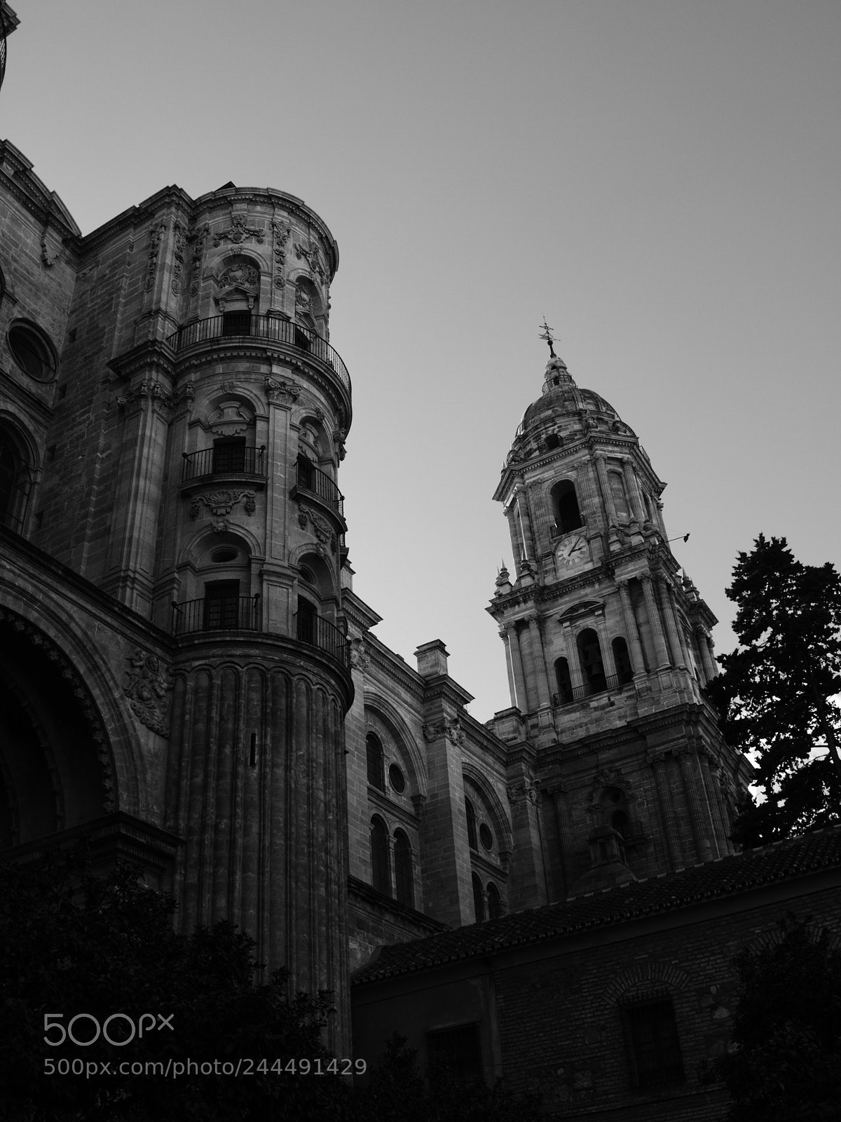 Olympus E-420 (EVOLT E-420) sample photo. Malaga in black and photography