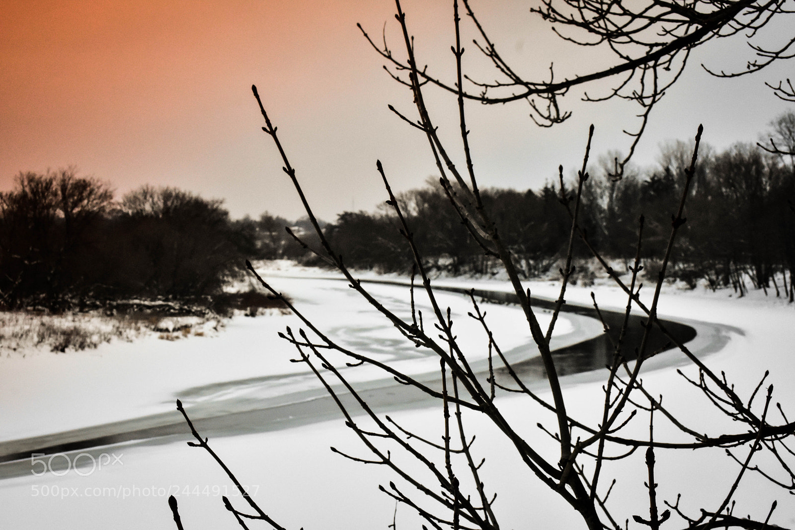 Nikon D3400 sample photo. Frosted river photography