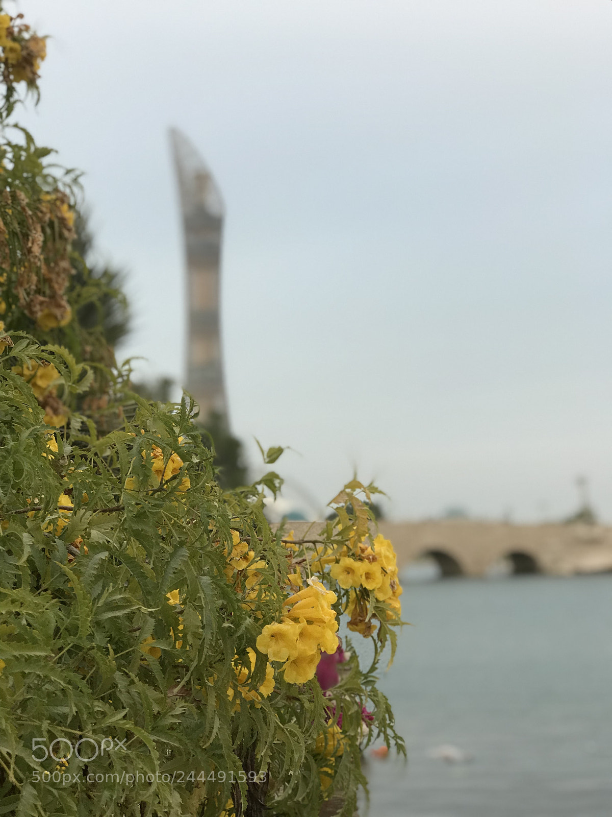 Apple iPhone 7 Plus sample photo. Untitled photography