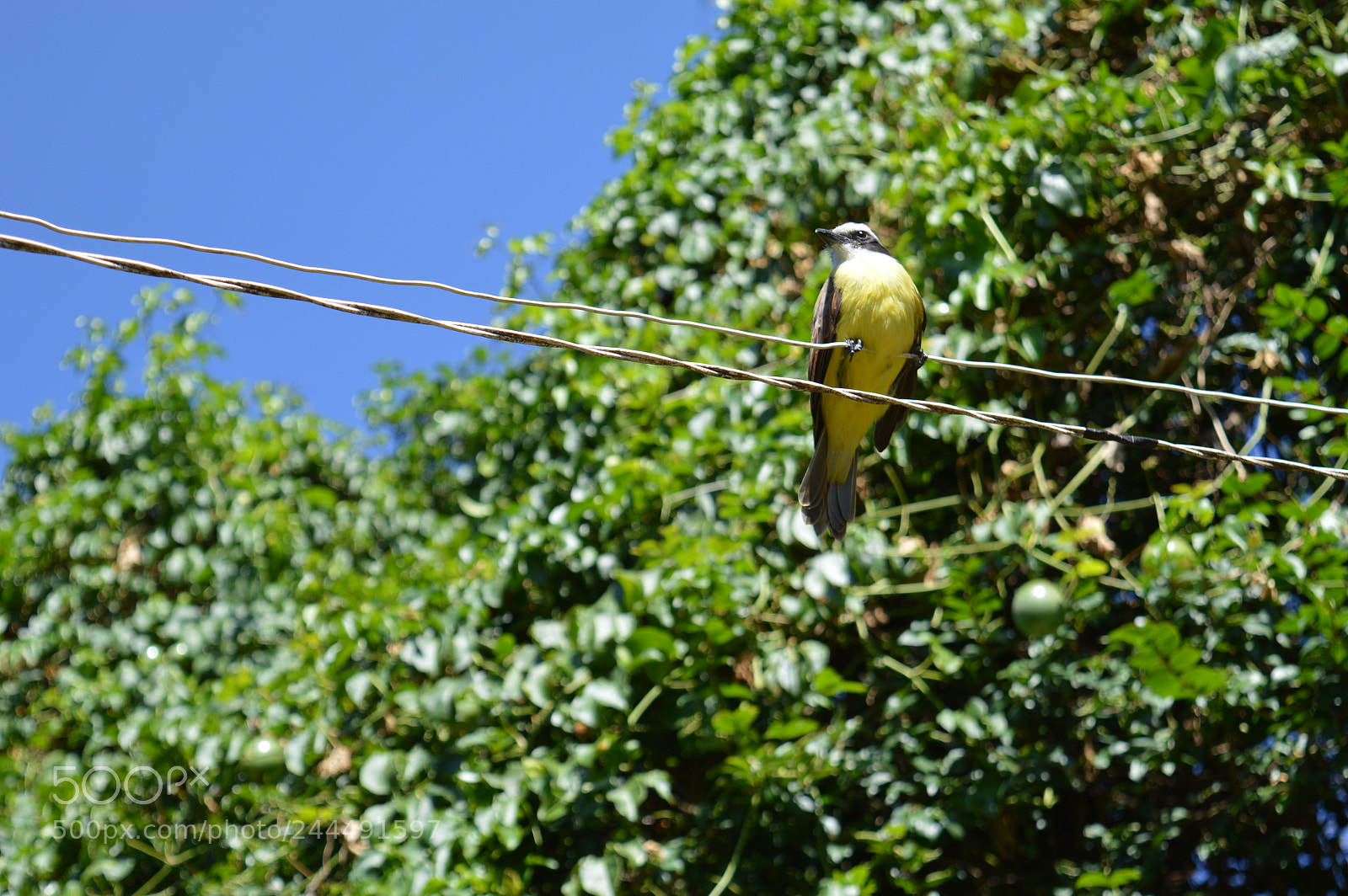 Nikon D3200 sample photo. Untitled photography