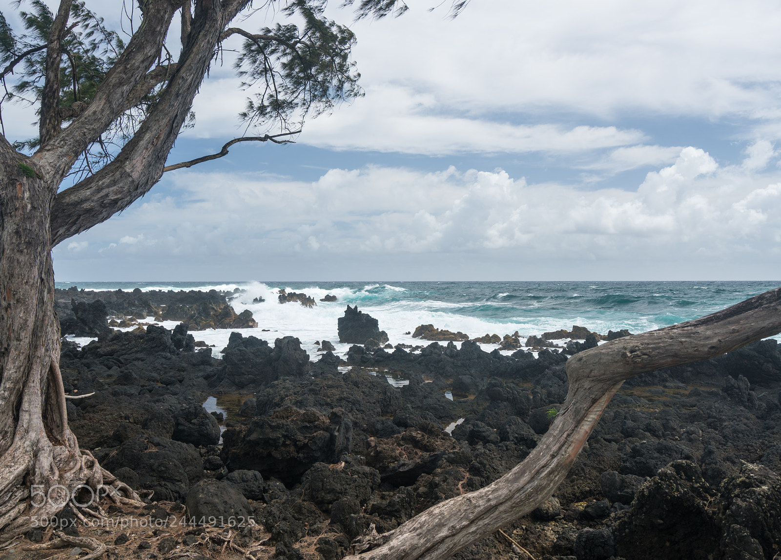 Sony a7R II sample photo. Pacific ocean breaks against photography