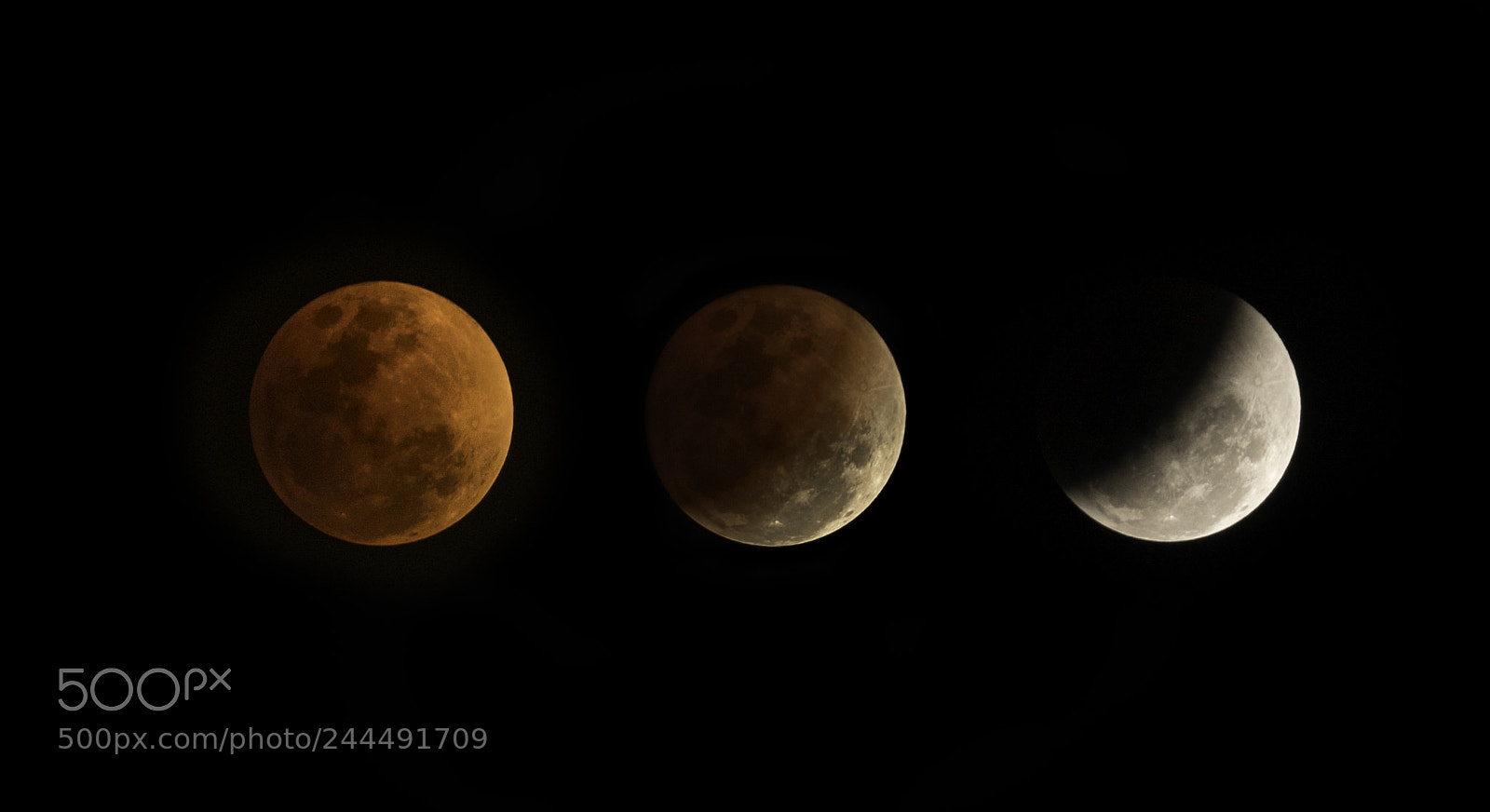 Sony a7R II sample photo. Super blue blood moon photography