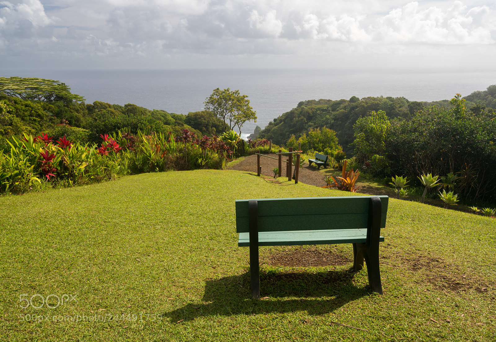Sony a7R II sample photo. Overlook of pacific ocean photography