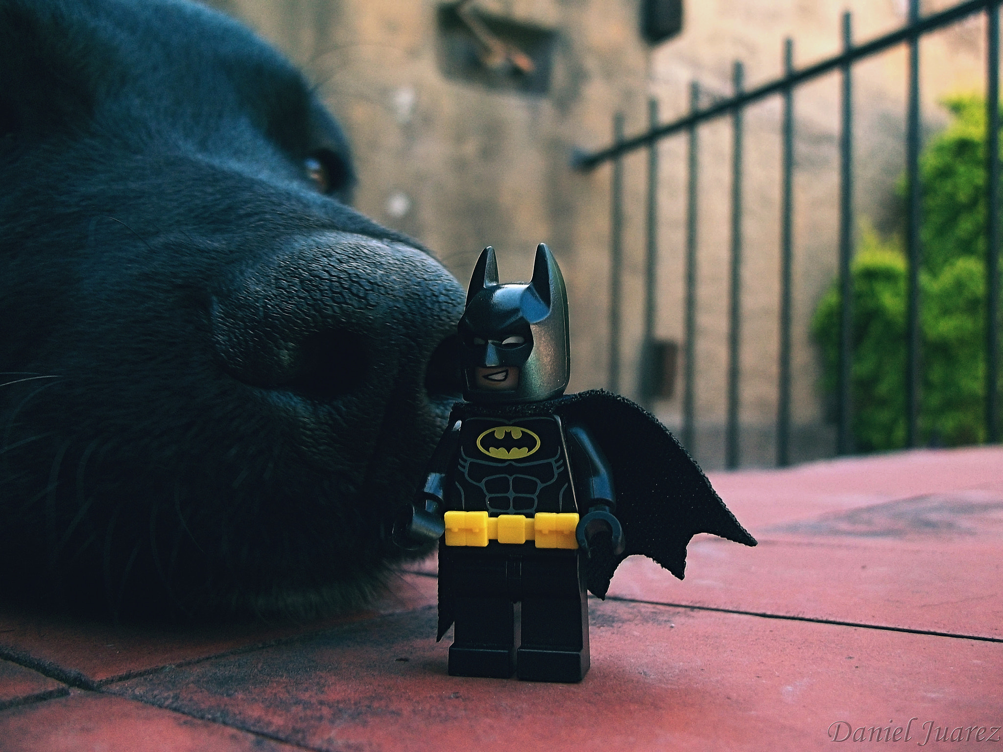 Kodak EASYSHARE CAMERA, C1530 sample photo. Lego batman photography