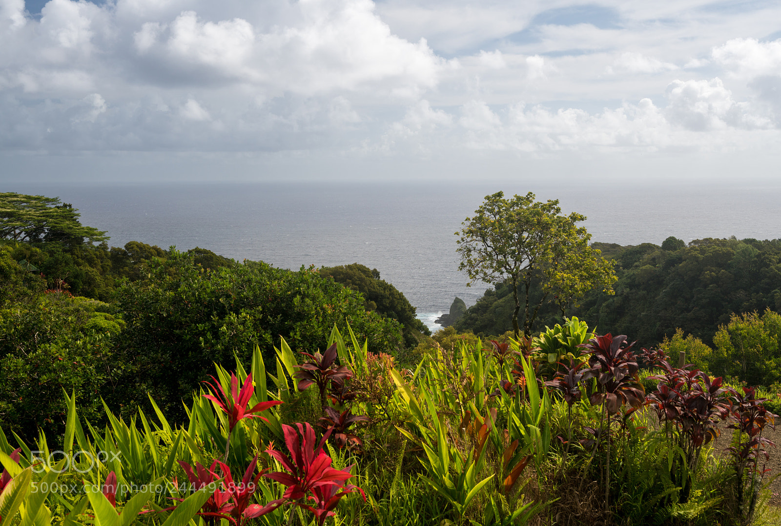 Sony a7R II sample photo. Overlook of pacific ocean photography