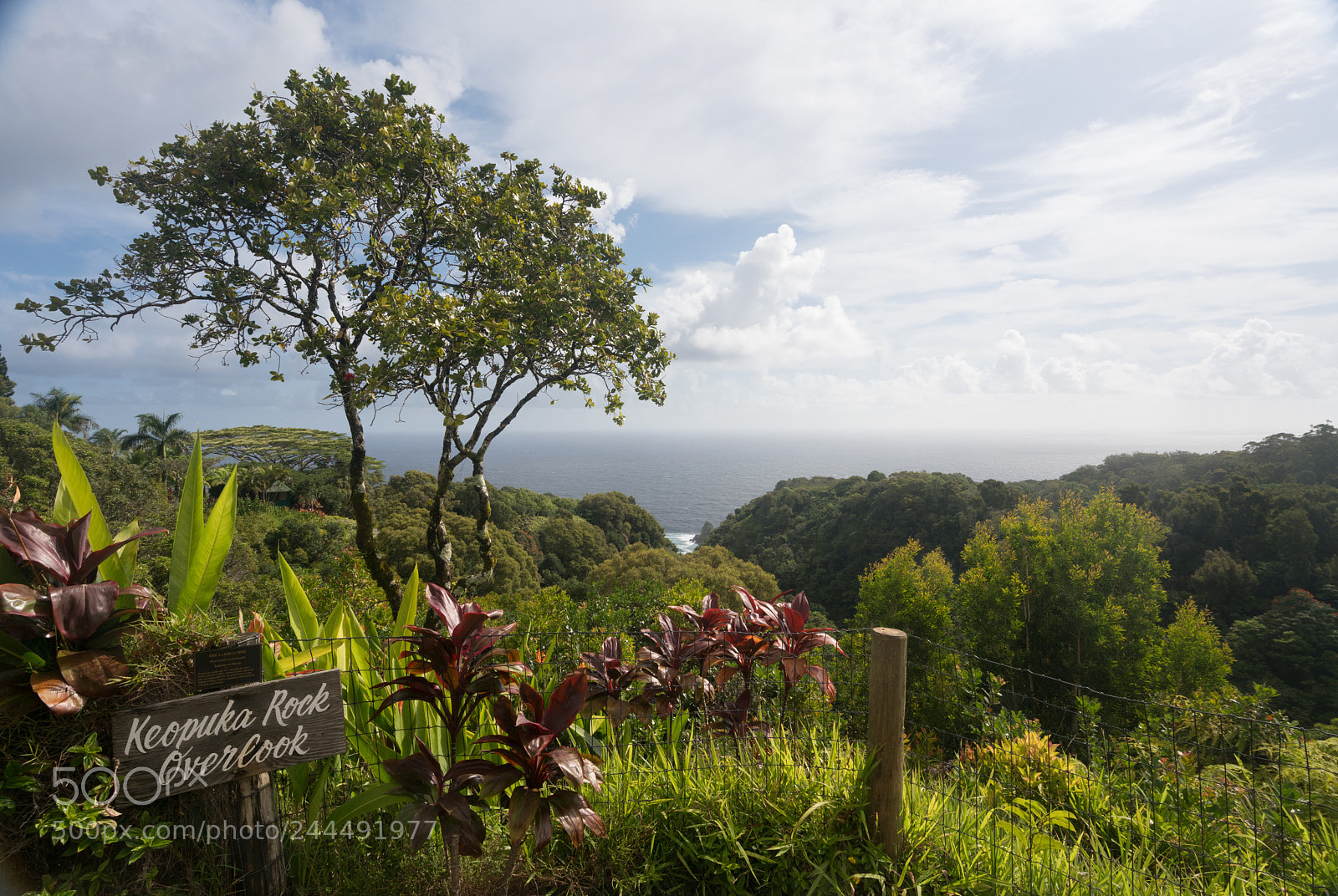 Sony a7R II sample photo. Overlook of pacific ocean photography