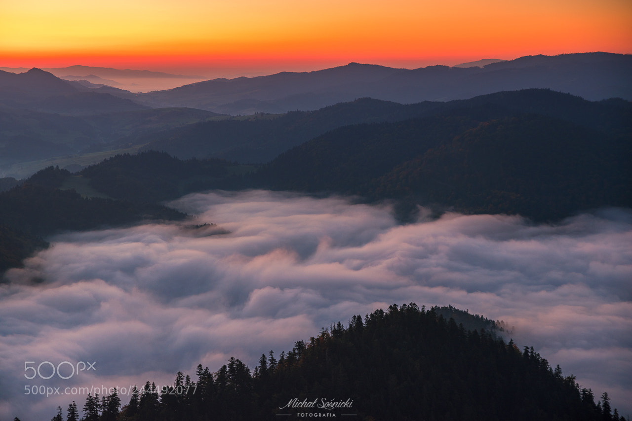 Pentax K-1 sample photo. Foggy morning... photography