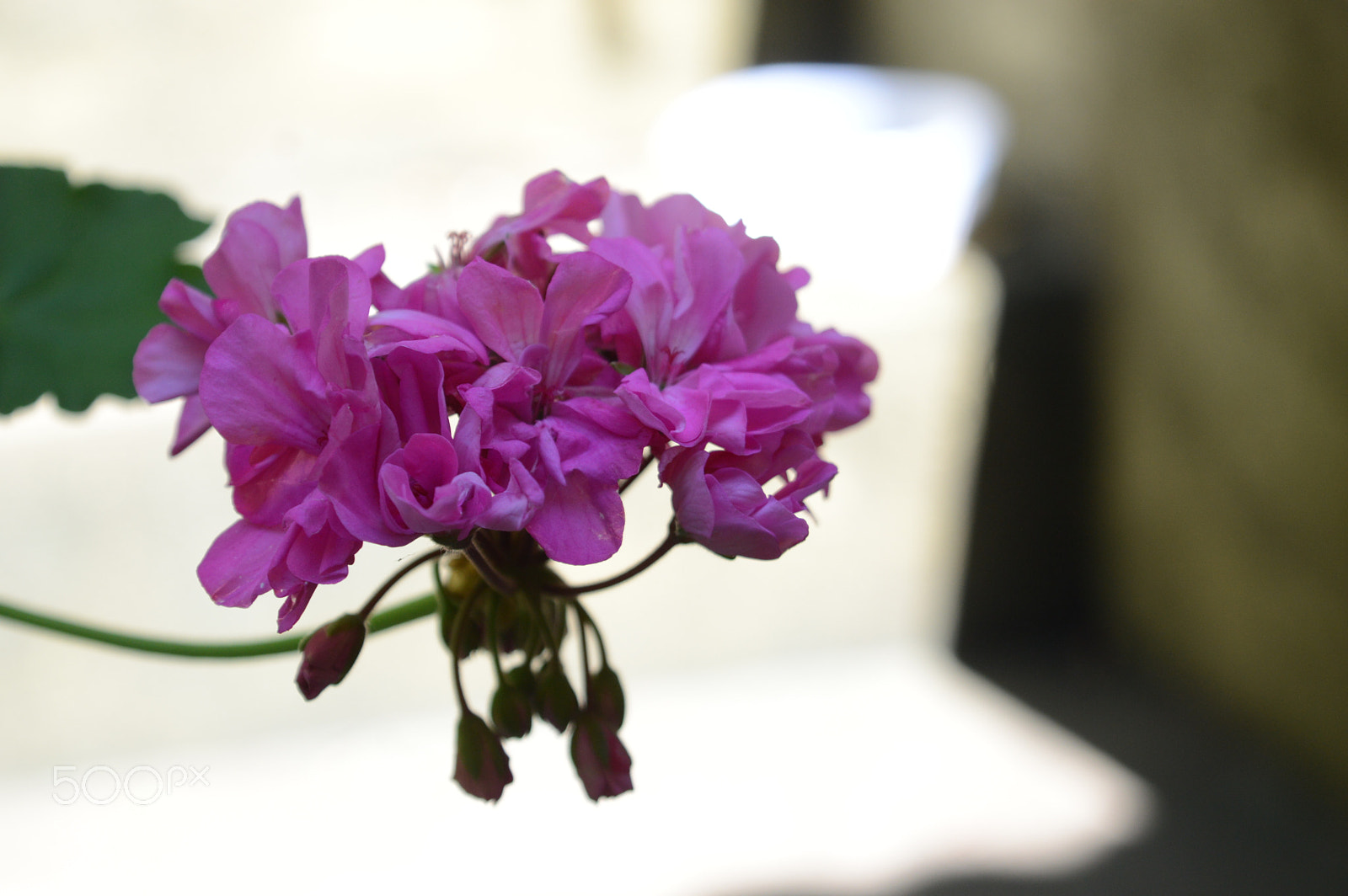 Nikon D3200 sample photo. Untitled photography
