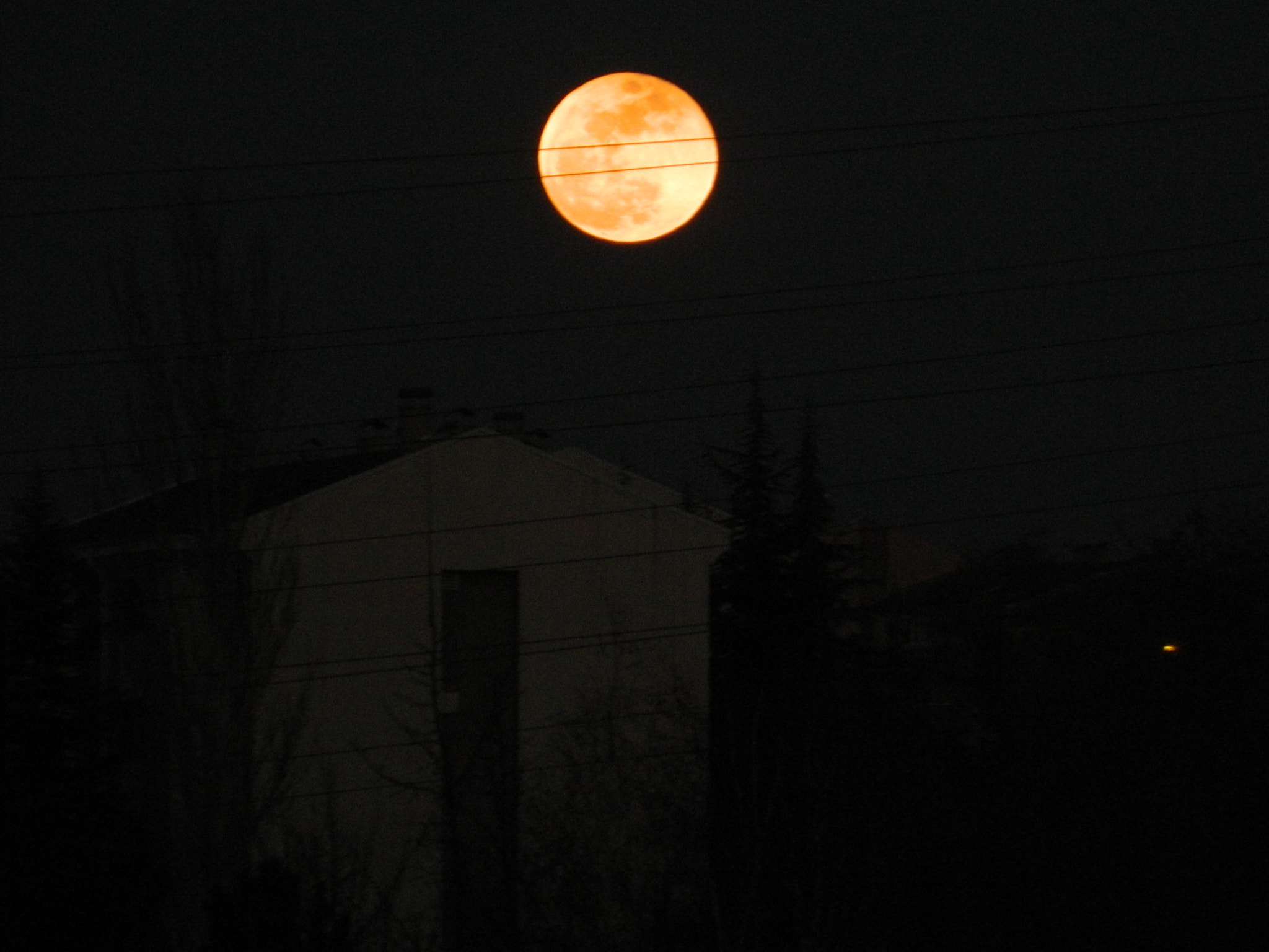 Nikon COOLPIX L310 sample photo. Supermoon photography
