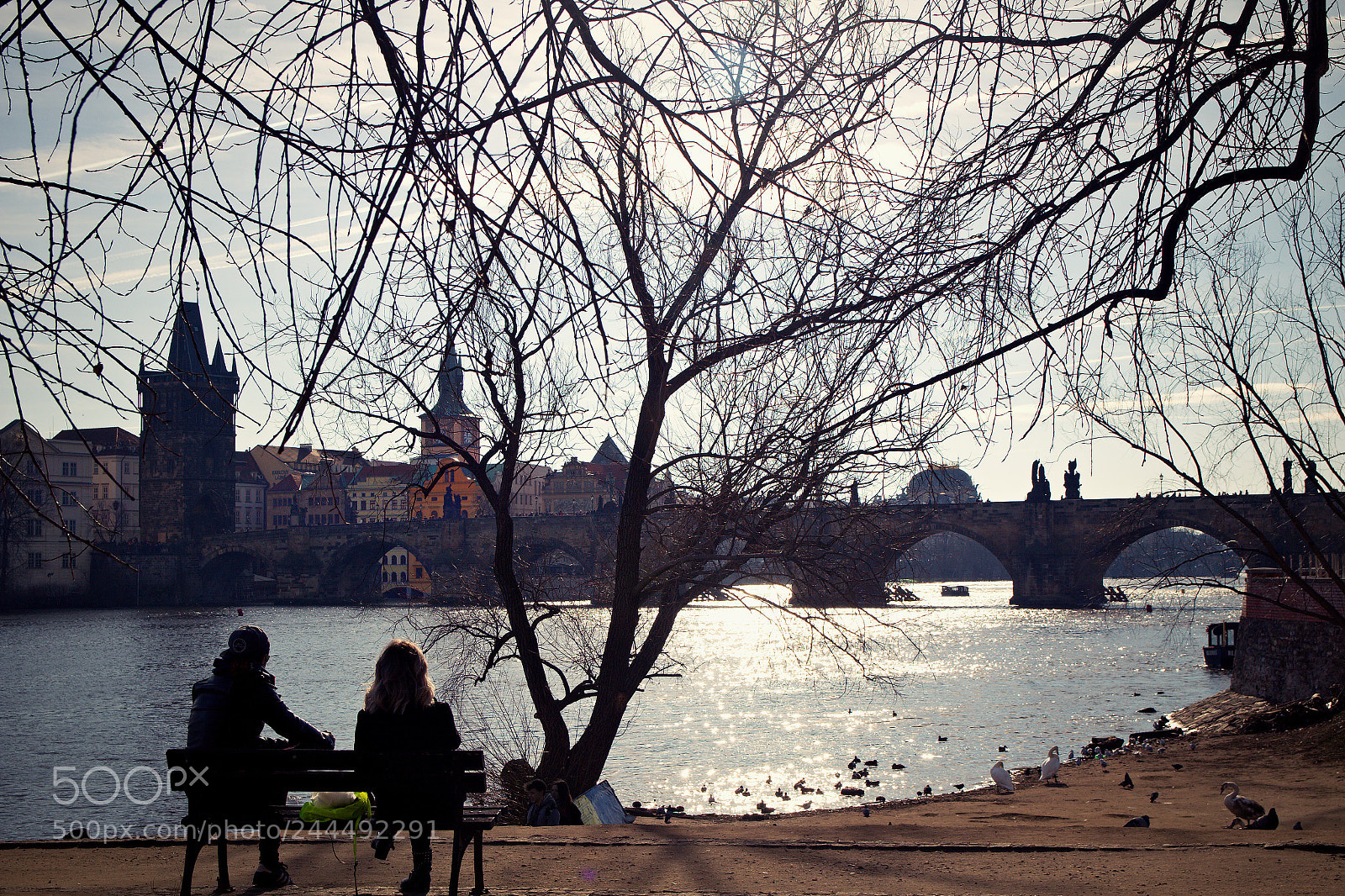 Canon EOS 60D sample photo. At noon by the photography