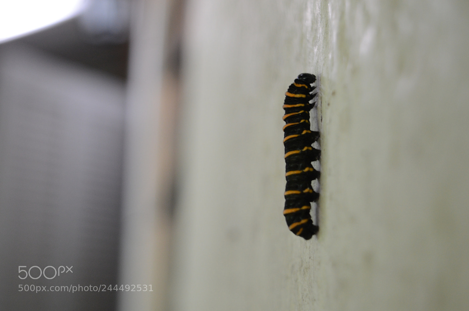 Nikon D3200 sample photo. Untitled photography