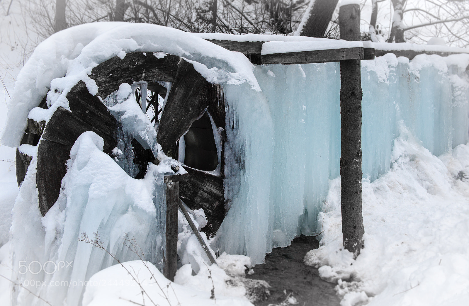 Nikon D3 sample photo. It's cold ouside photography