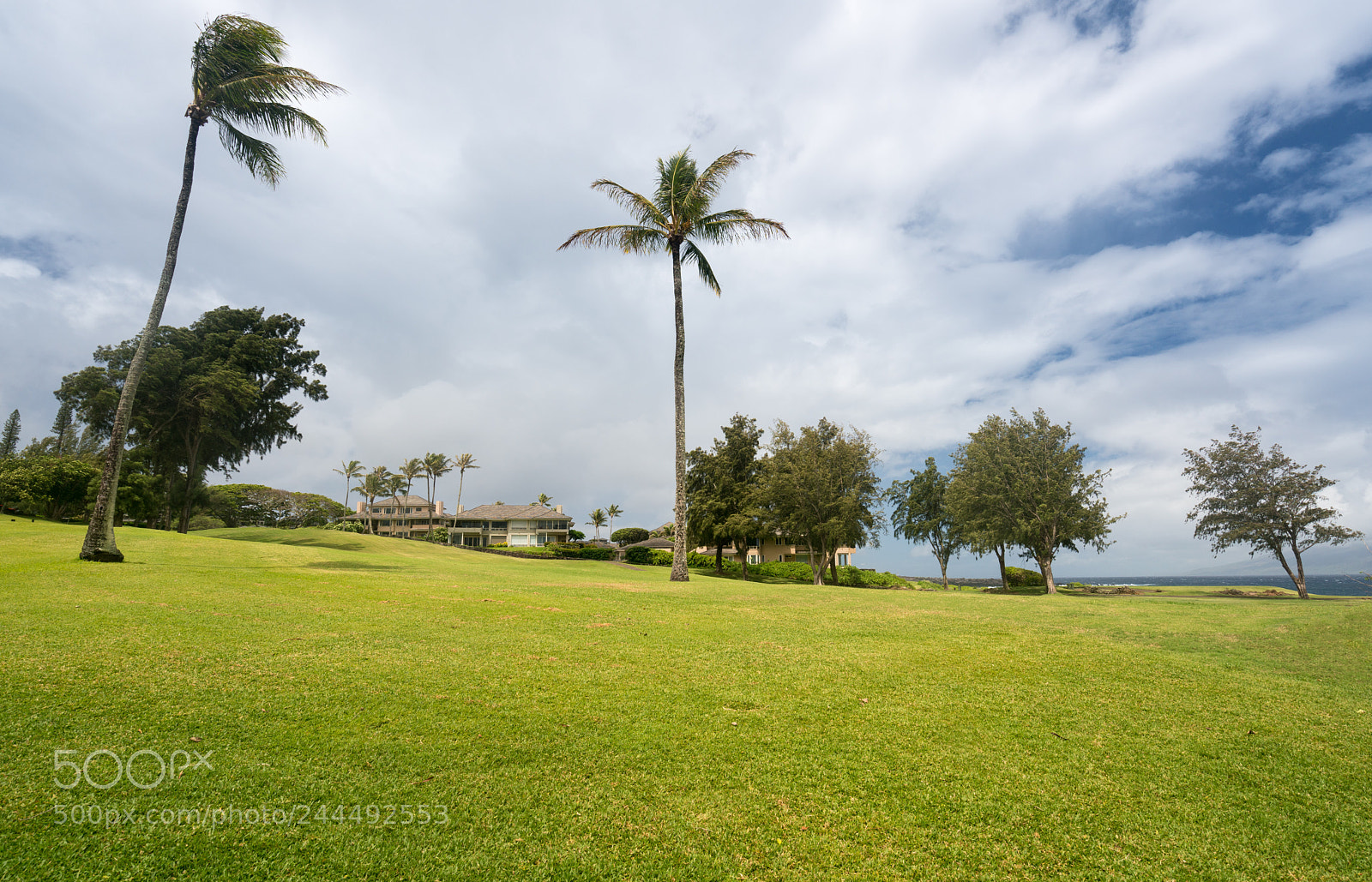 Sony a7R II sample photo. Modern luxury golf course photography
