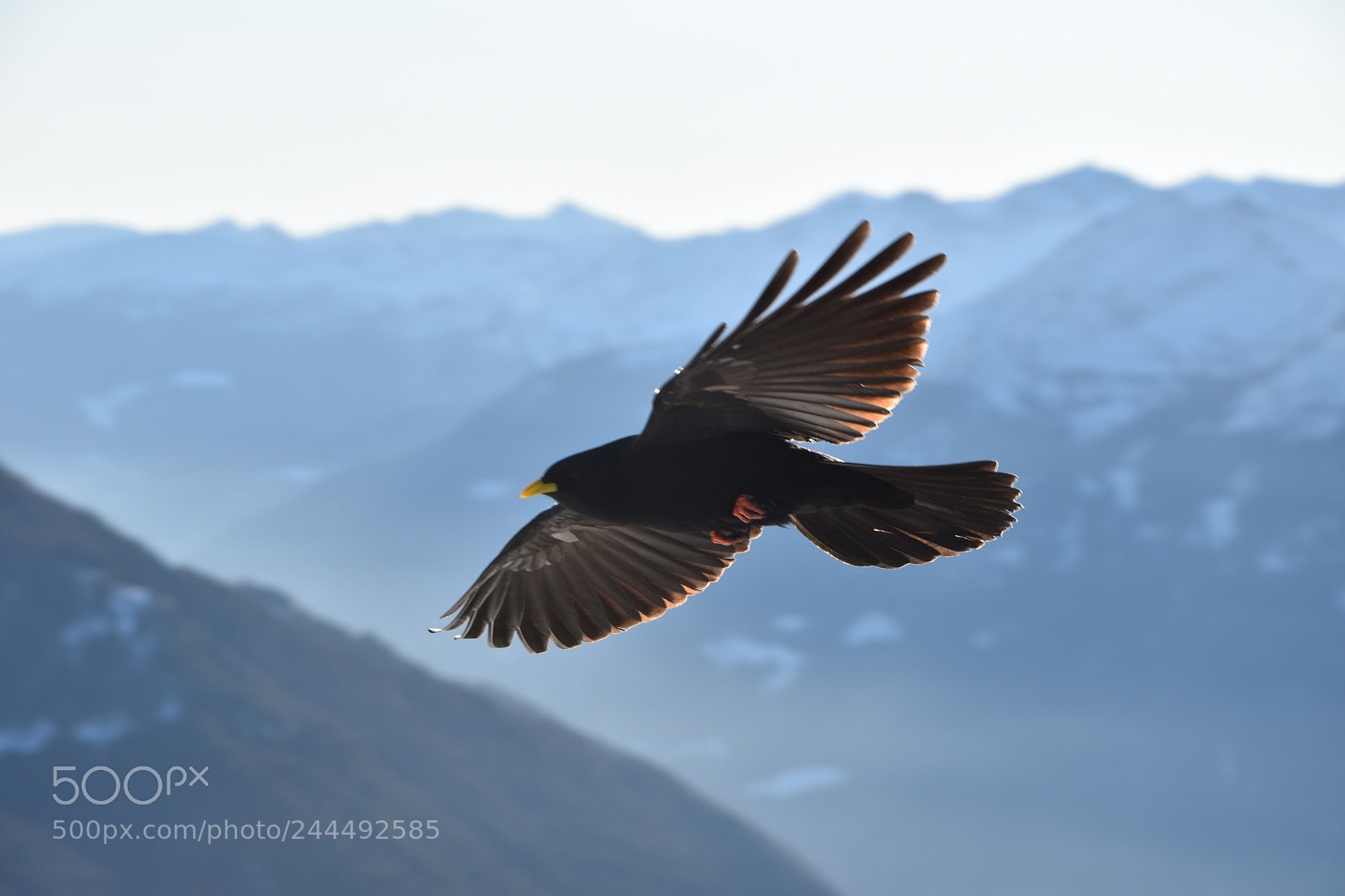 Nikon D5500 sample photo. Scattata con nikon d5500 photography