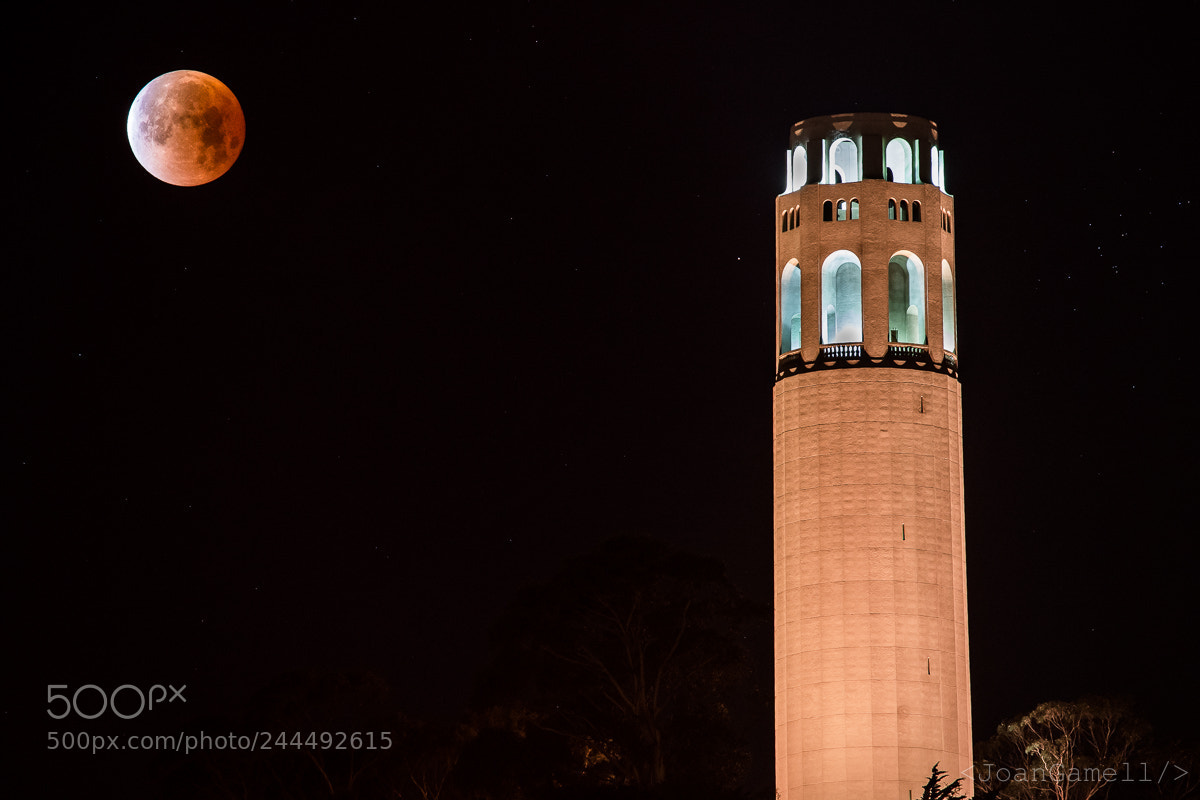Sony a7R III sample photo. Super blue blood moon photography