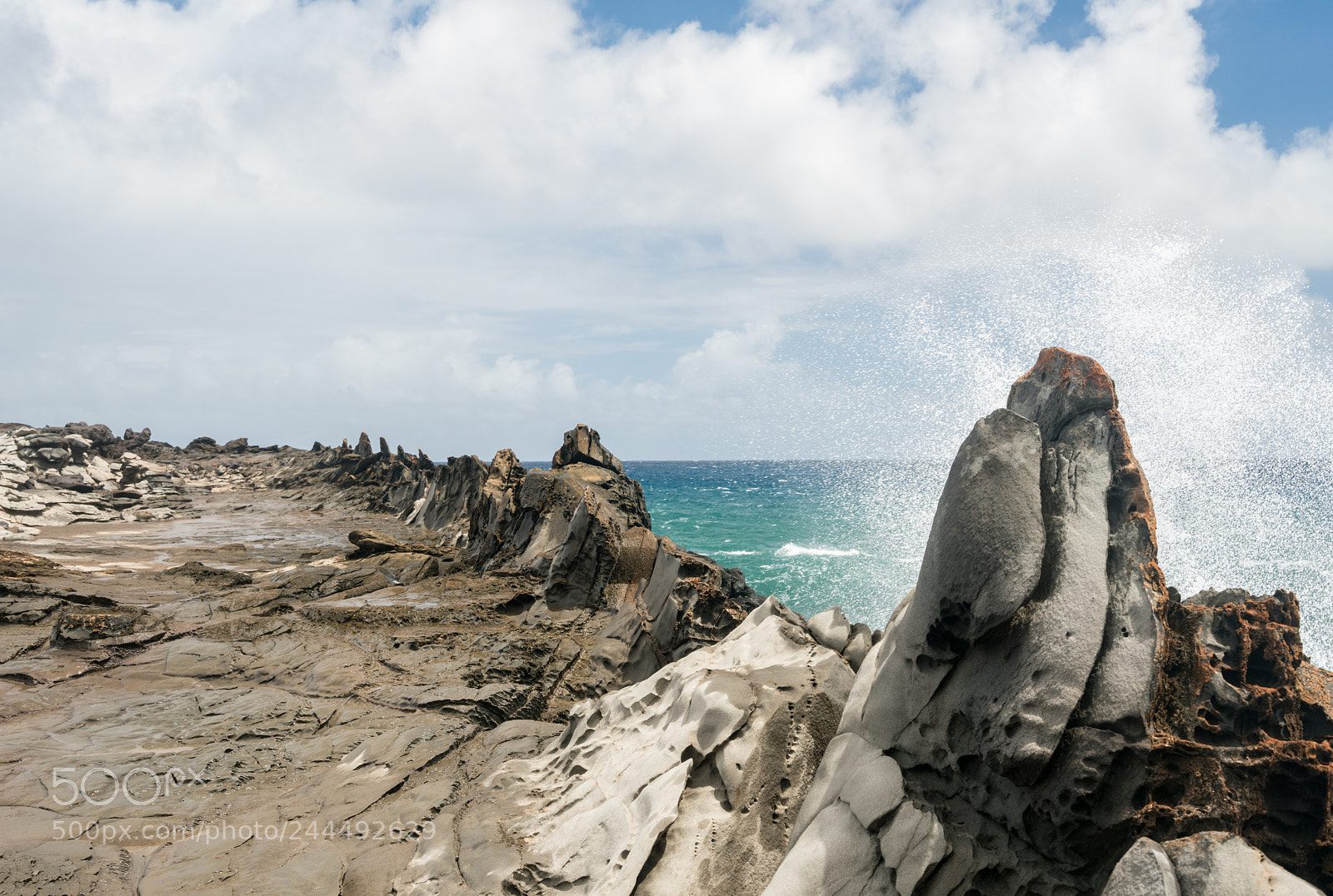 Sony a7R II sample photo. View of the dragon's photography