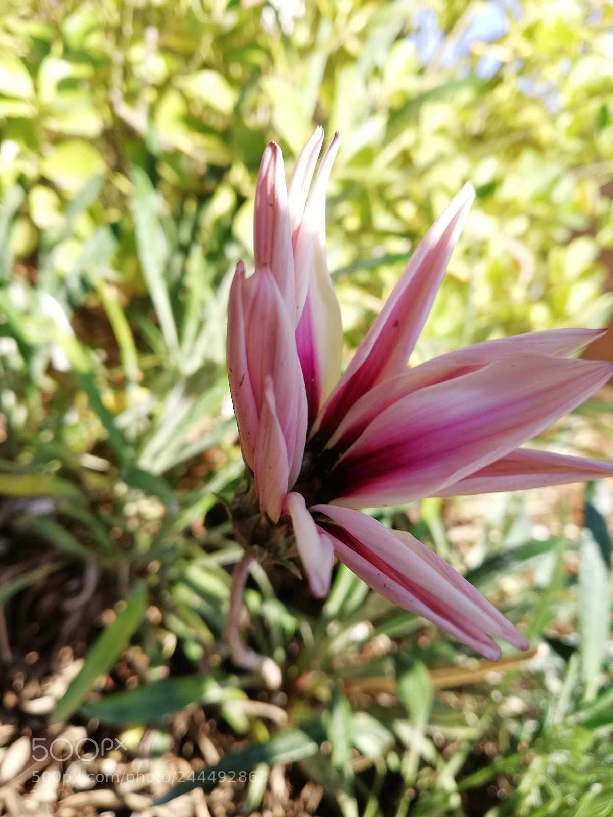 HUAWEI Mate 10 Lite sample photo. Untitled photography