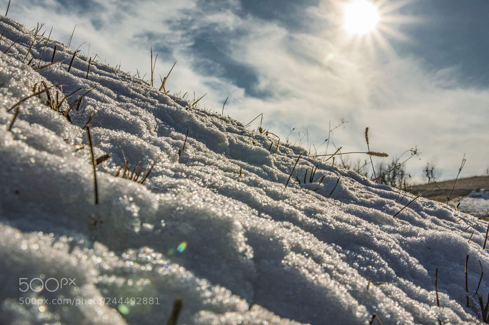 Nikon D3200 sample photo. Sun is up photography