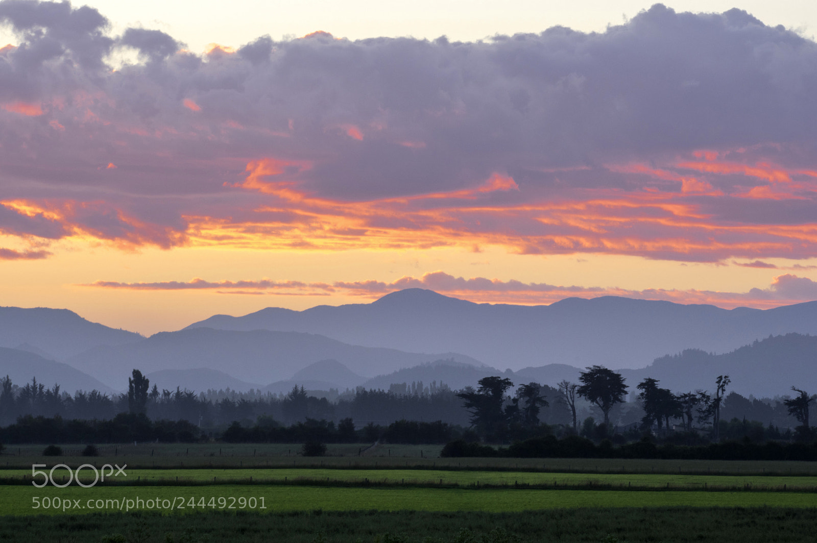 Pentax K-3 II sample photo. Sunset colors photography
