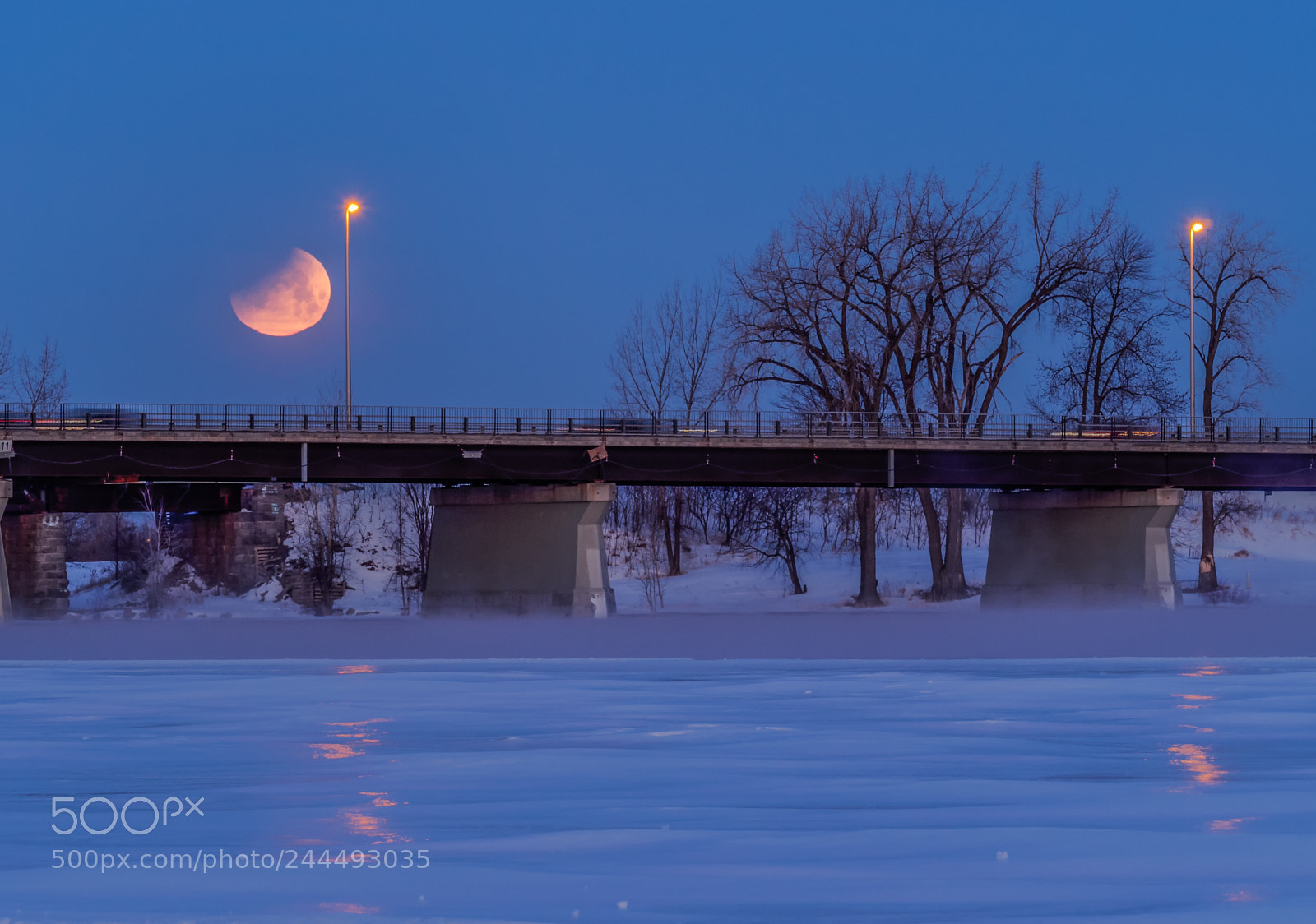 Olympus OM-D E-M5 II sample photo. Blue moon photography