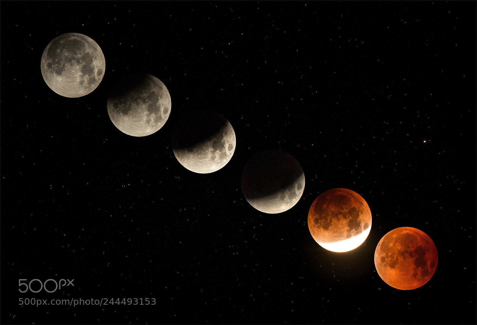Nikon D850 sample photo. Super blue blood moon photography