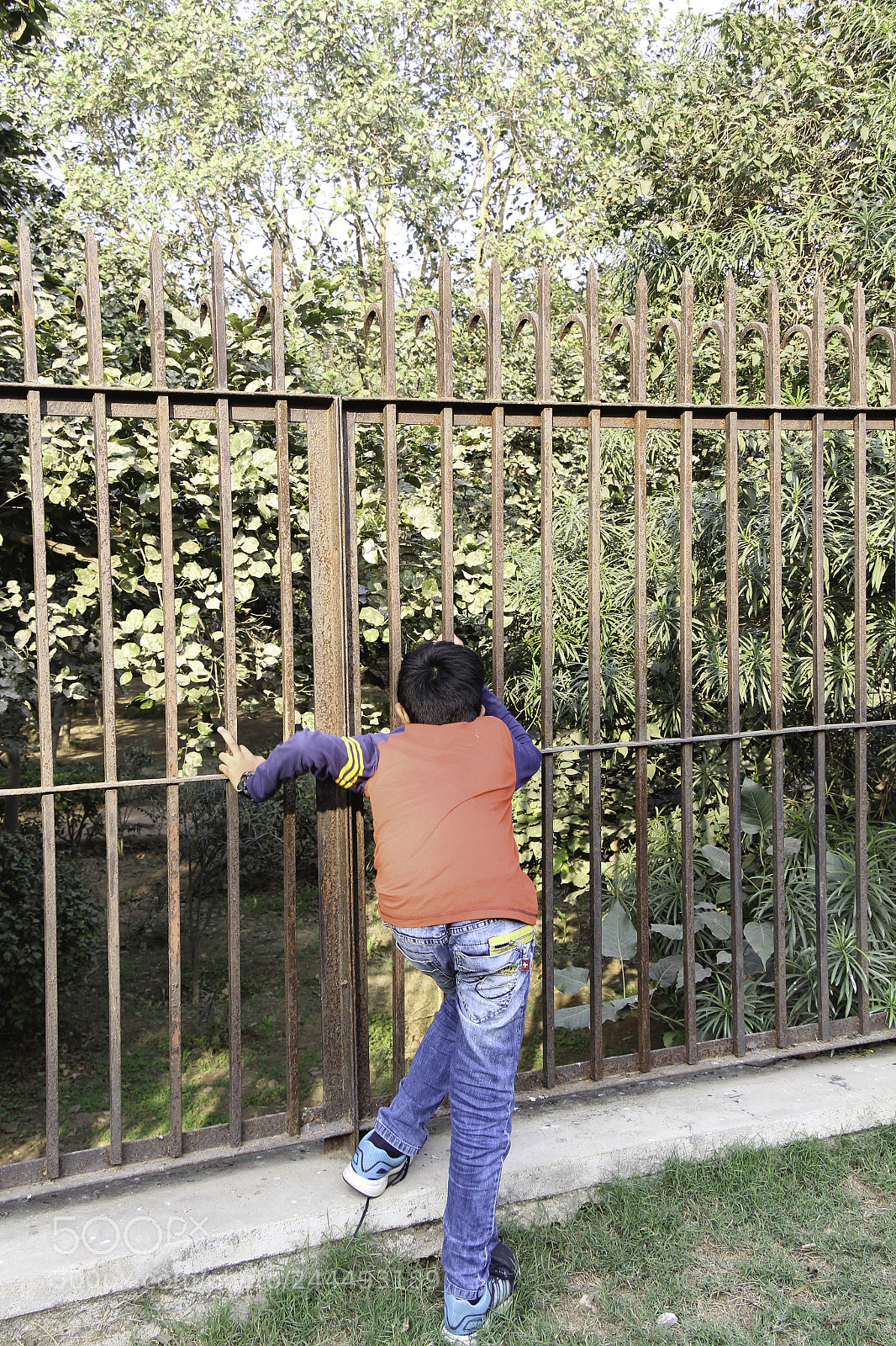 Canon EOS 650D (EOS Rebel T4i / EOS Kiss X6i) sample photo. Boy looking through metal photography