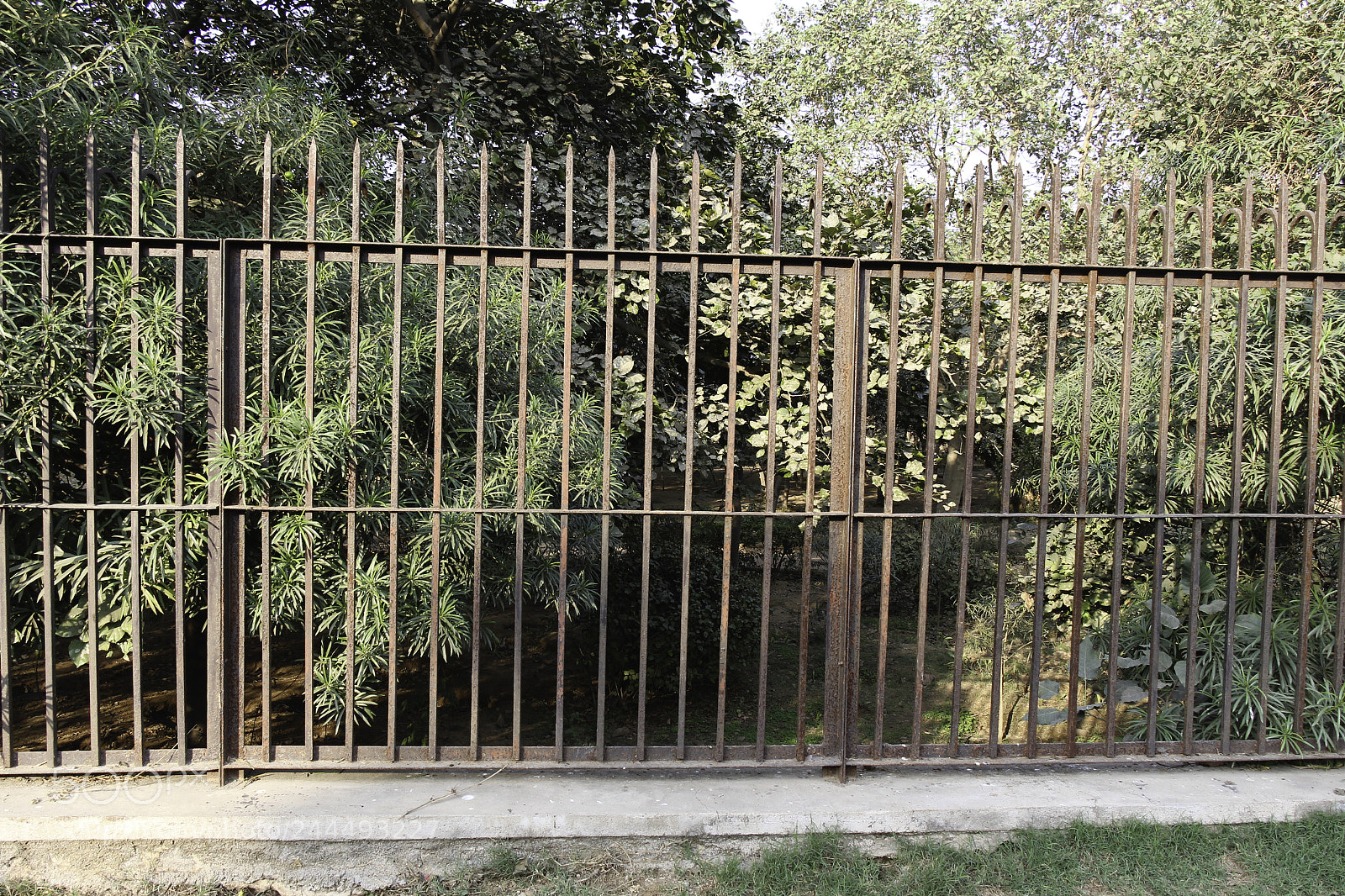 Canon EOS 650D (EOS Rebel T4i / EOS Kiss X6i) sample photo. Metal fence between 2 gardens photography