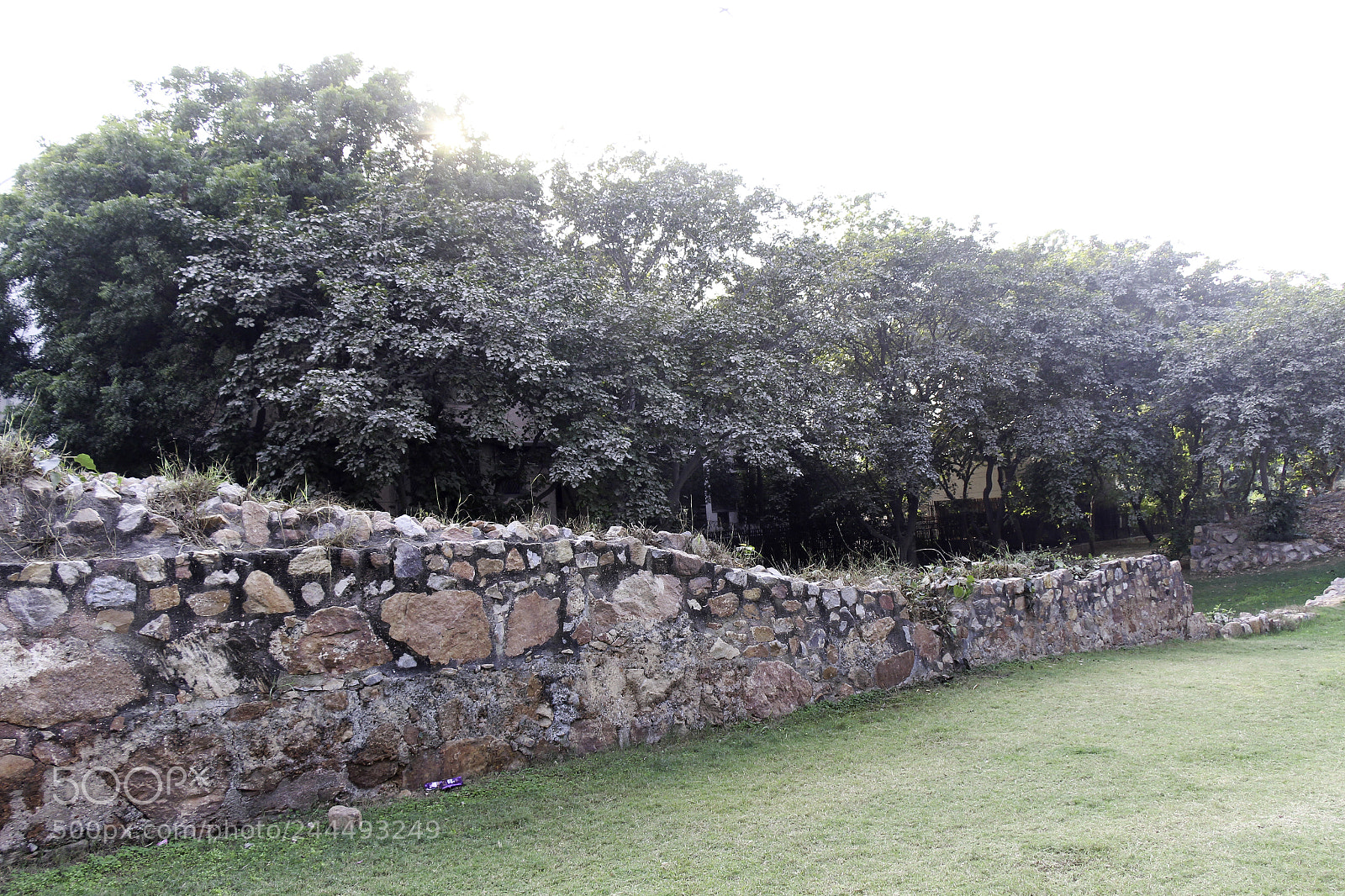 Canon EOS 650D (EOS Rebel T4i / EOS Kiss X6i) sample photo. Stone wall along the photography