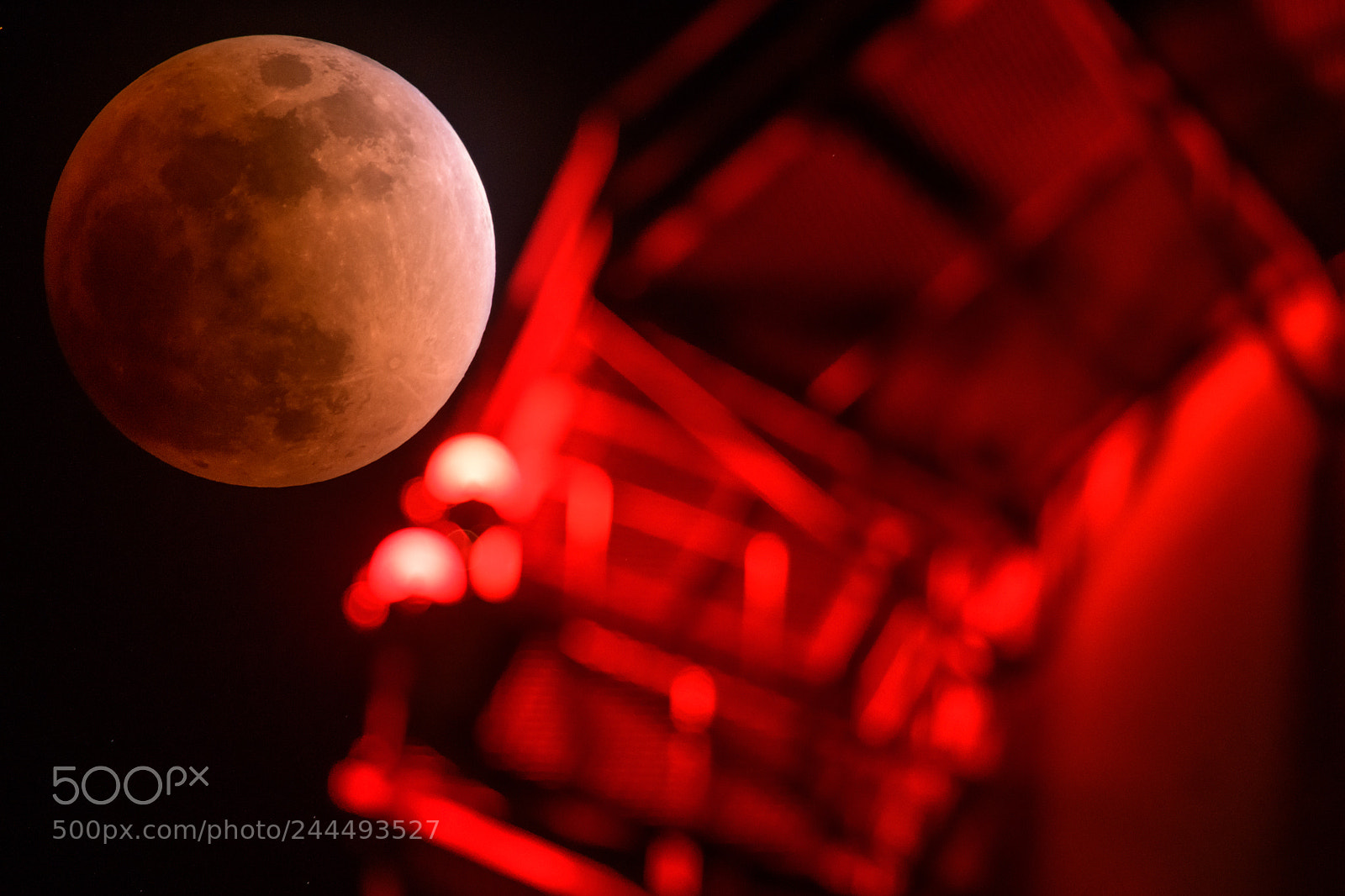Nikon D850 sample photo. Bloody moon photography