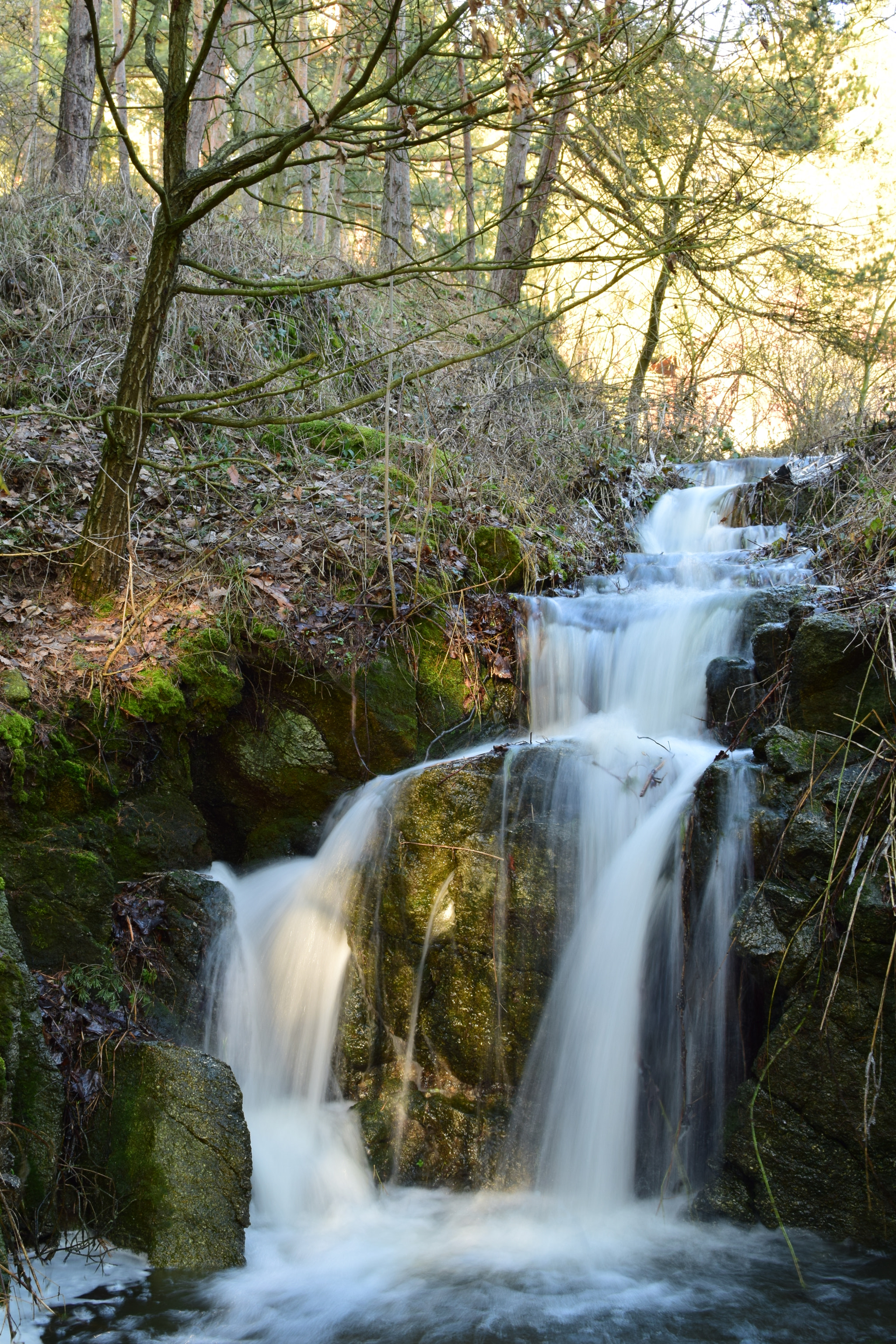 Nikon D3300 + Nikon AF-S DX Nikkor 35mm F1.8G sample photo. Dsc photography