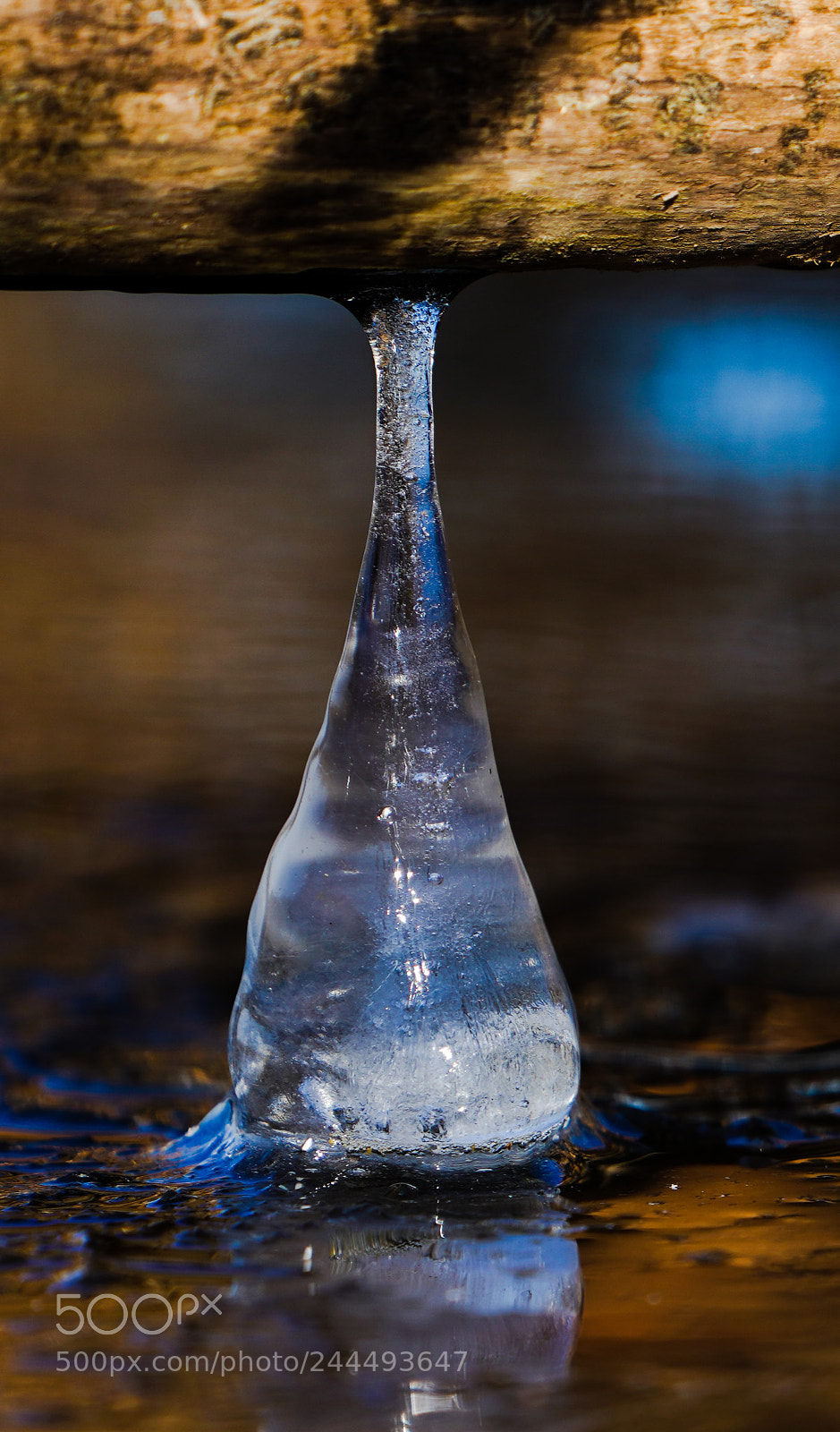 Sony a7R III sample photo. Maybe i'm doing it photography