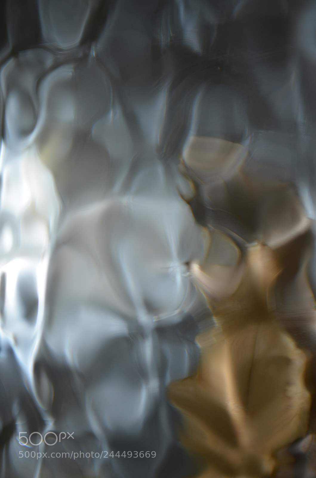 Nikon D5100 sample photo. Two cellos photography