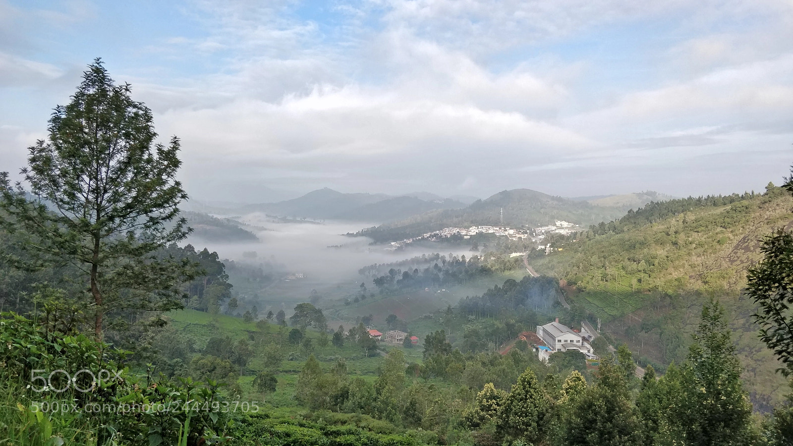 OnePlus 5 sample photo. Morning photography