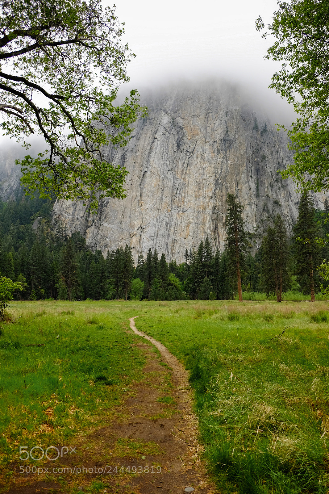 Fujifilm X-T1 sample photo. Yosemite photography