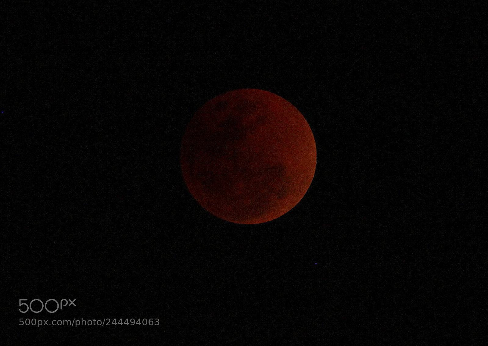 Canon EF-S 55-250mm F4-5.6 IS II sample photo. Superbluebloodmoon photography