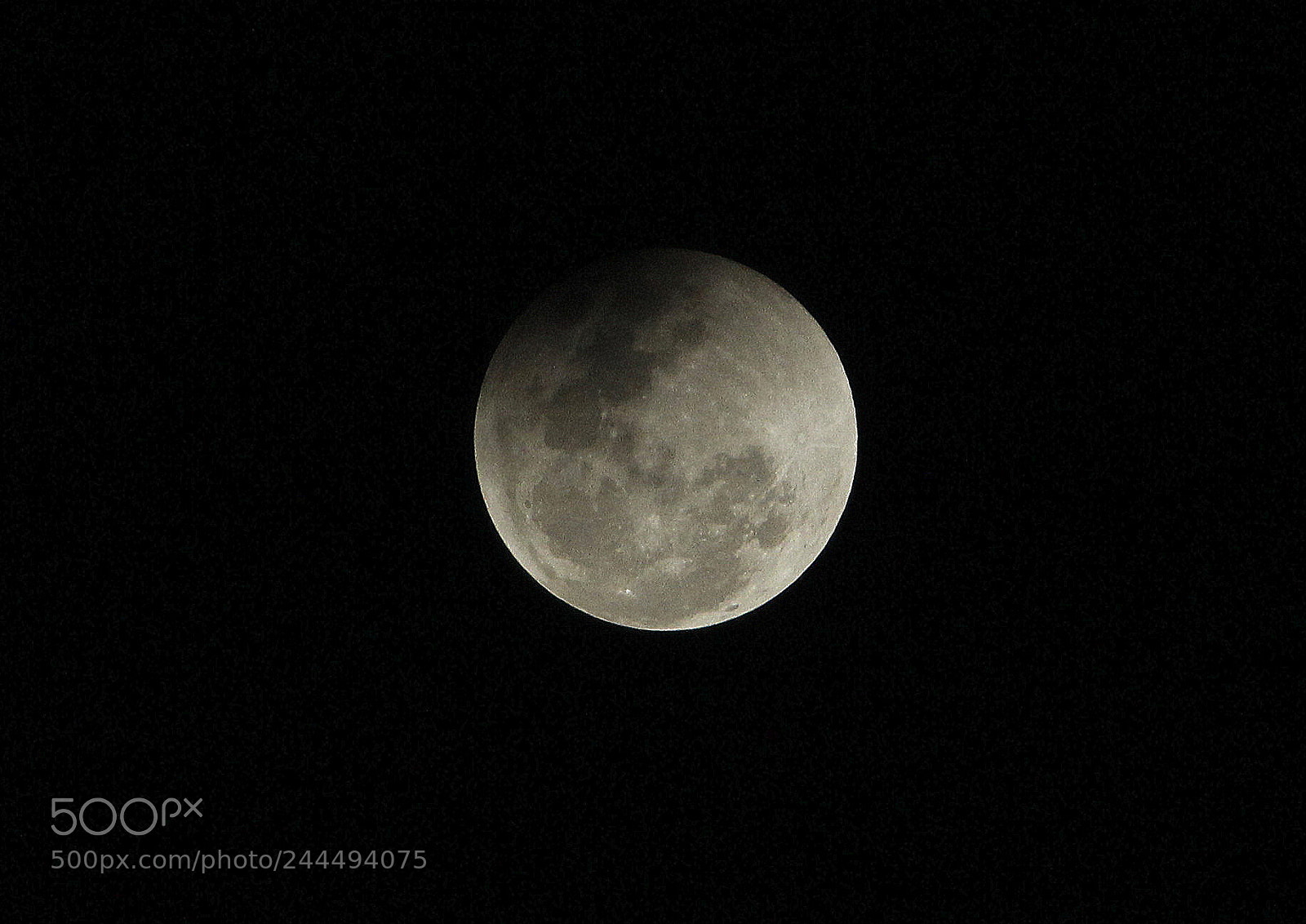 Canon EF-S 55-250mm F4-5.6 IS II sample photo. Superbluebloodmoon photography