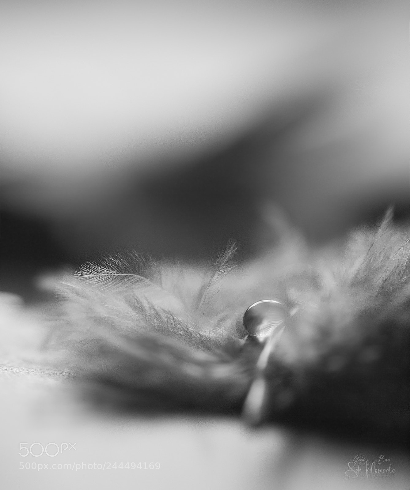 Olympus E-620 (EVOLT E-620) sample photo. Soft waterdrop photography