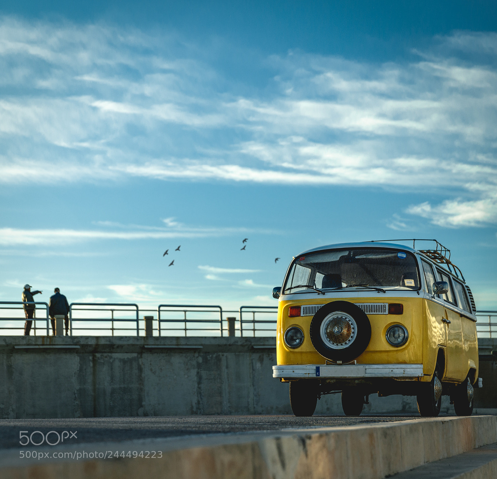 Canon EOS-1D X Mark II sample photo. Yellow combi photography