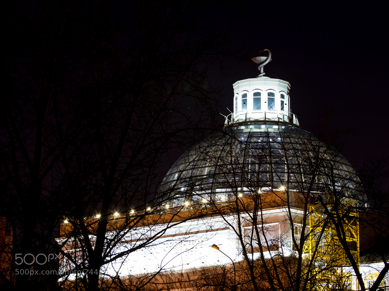 Canon EOS 650D (EOS Rebel T4i / EOS Kiss X6i) sample photo. Krasnoyarsk state medical university photography