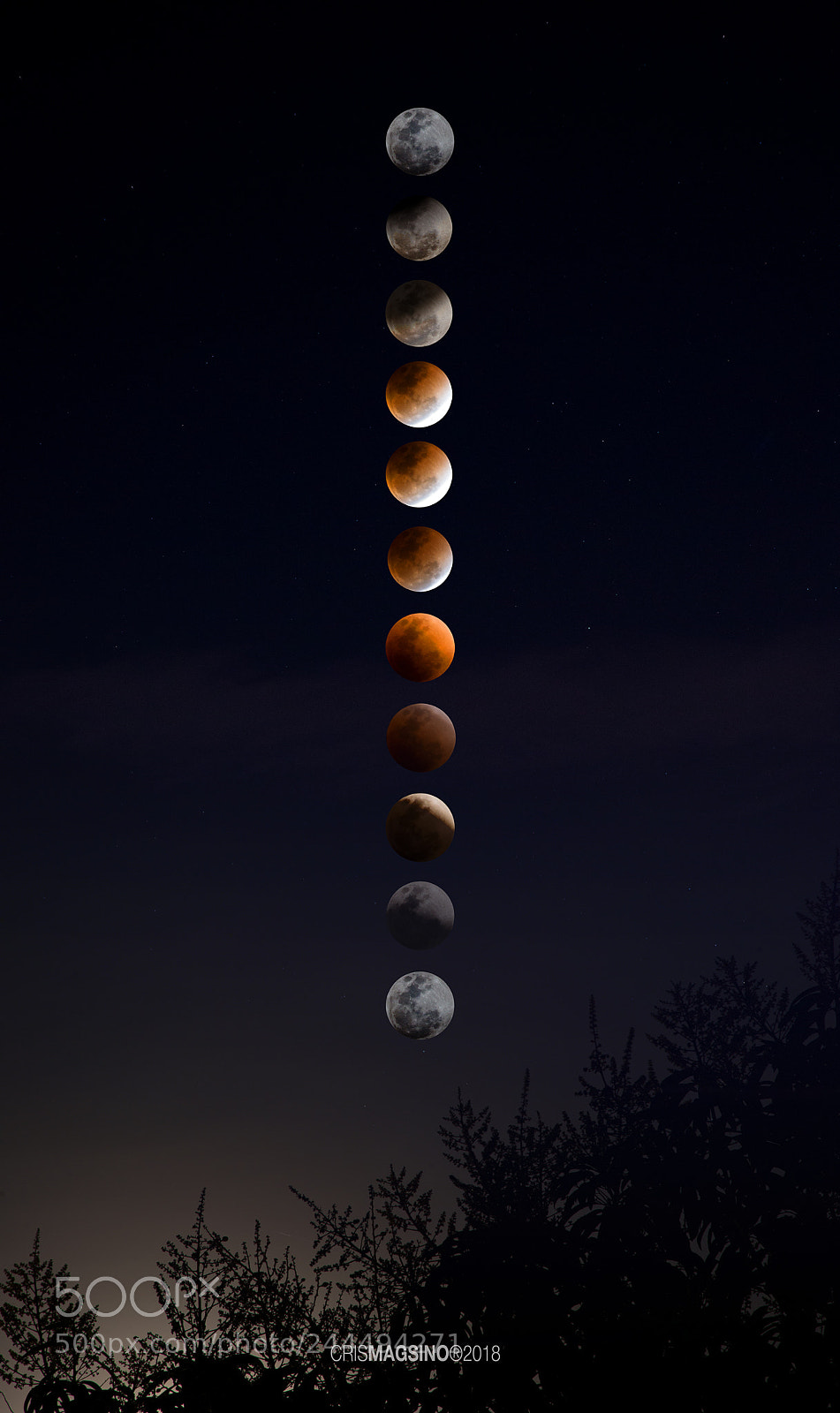 Nikon D800 sample photo. Blood moon, blue moon photography