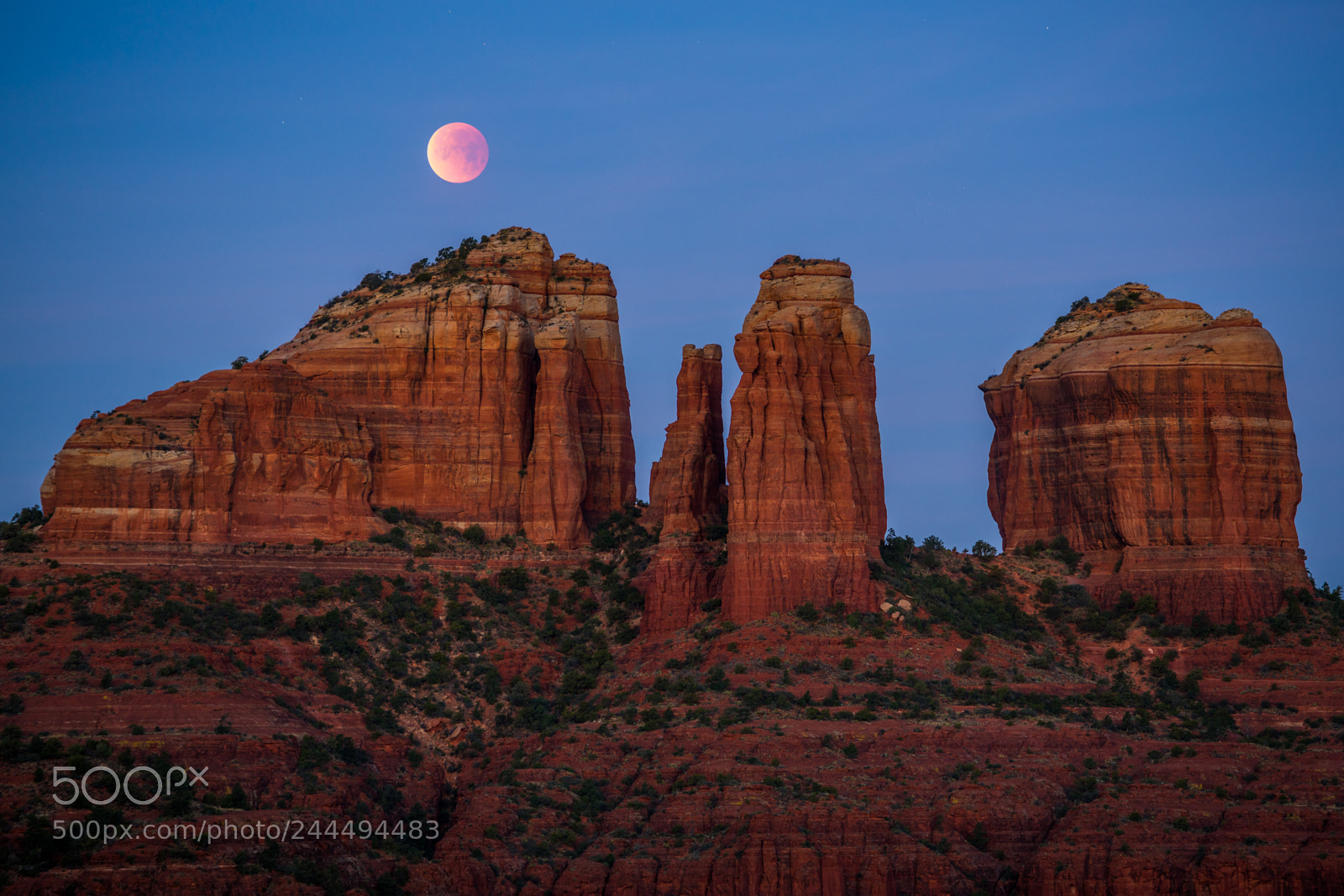 Nikon D850 sample photo. Super blue blood moon photography