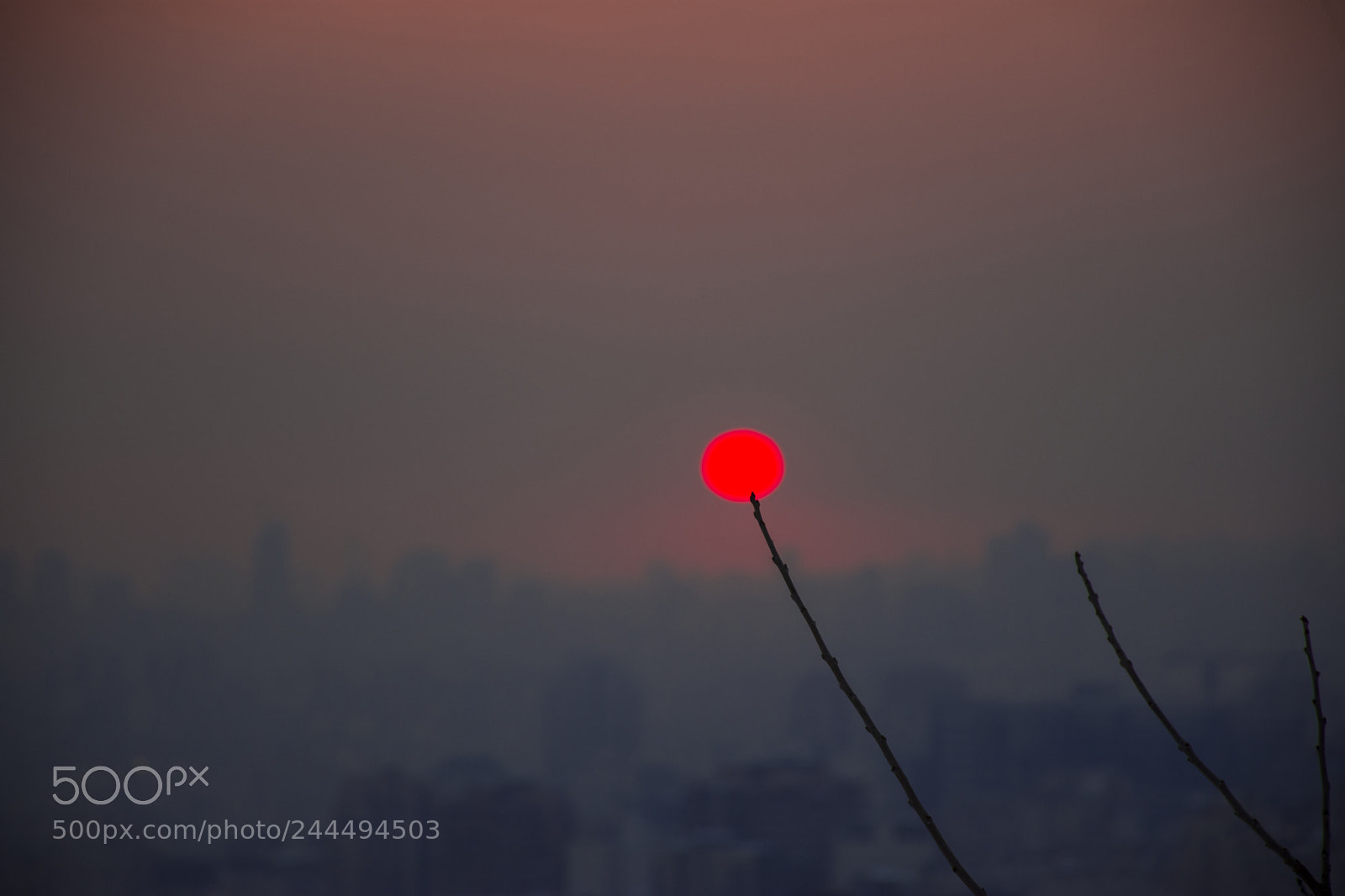 Nikon D7200 sample photo. Pollution is a serious photography