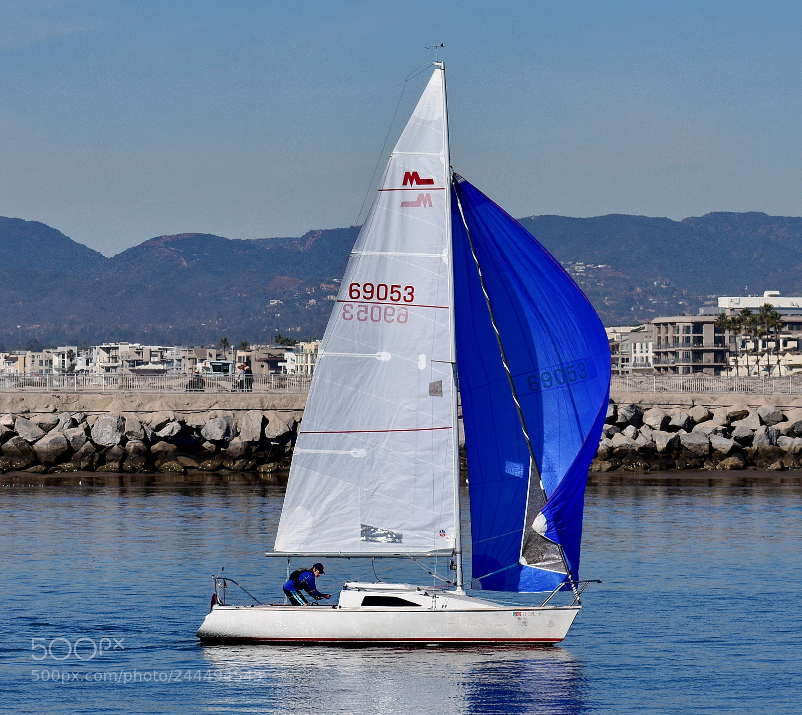 Nikon D7200 sample photo. Sailboat cruising the marina photography